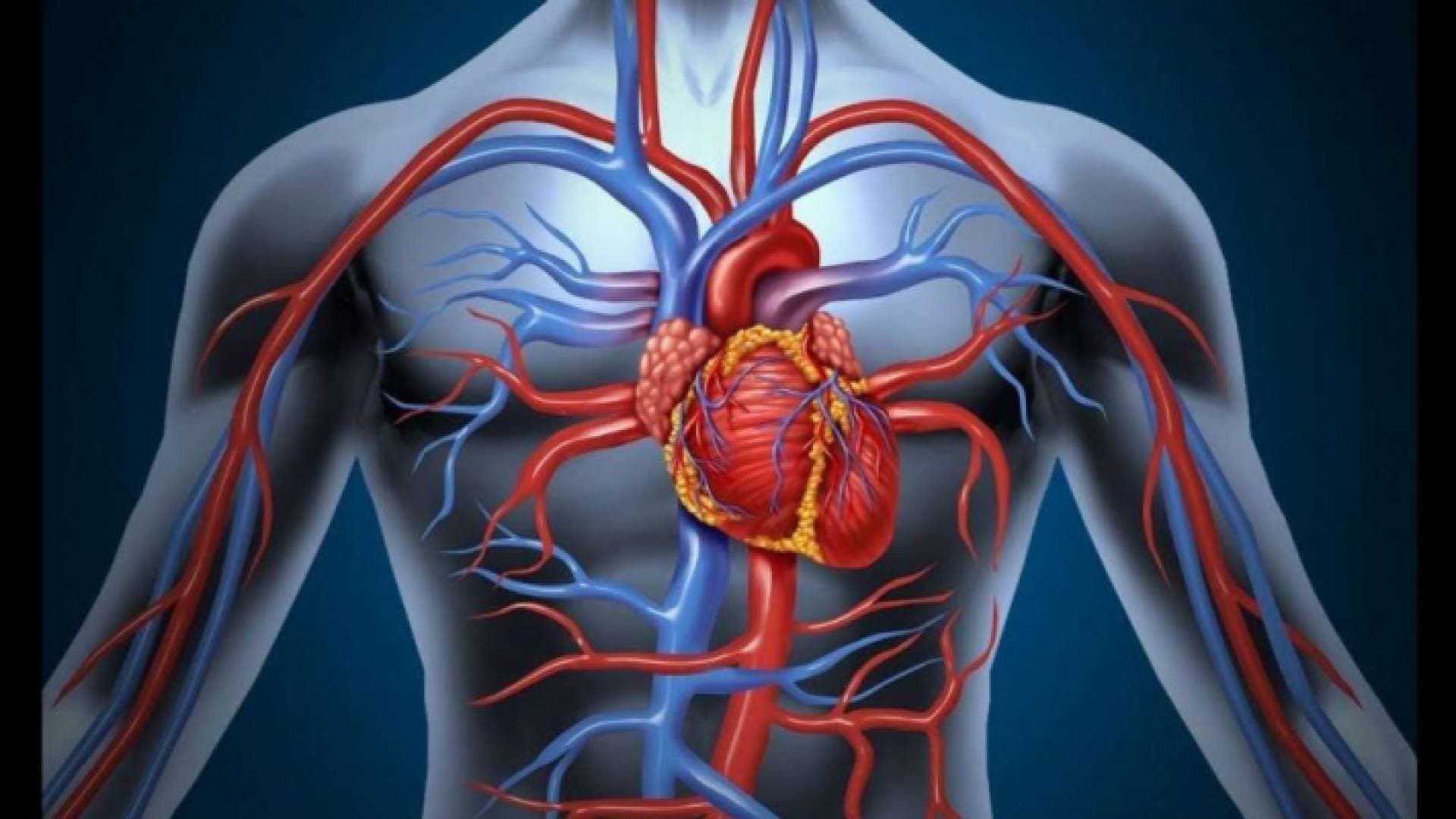 تصلب الشرايين".. خطوة أولى باتجاه "علاج مناعي" أكثر فعالية