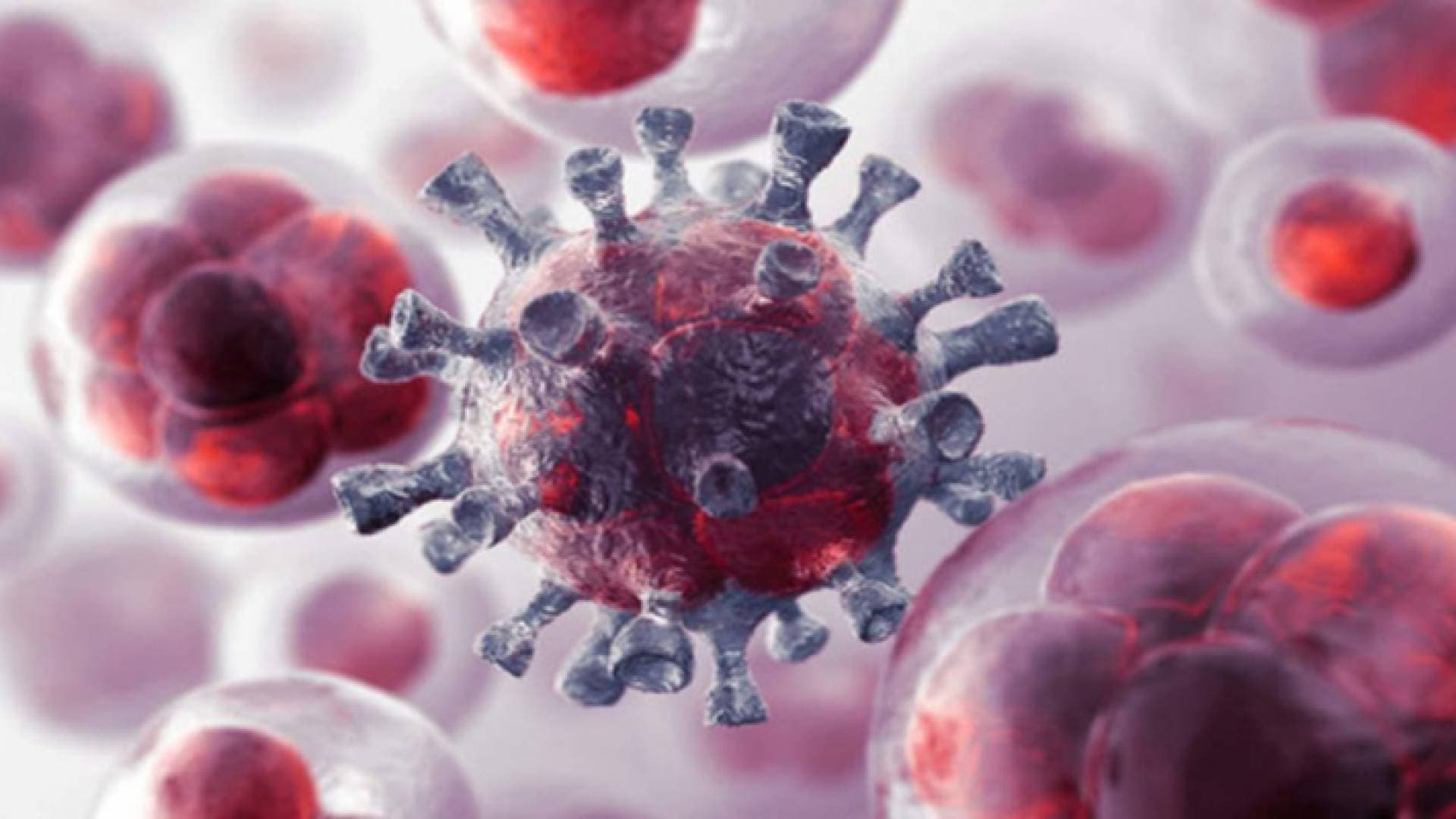 عالم فيروسات: مناعة القطيع ضد سلالة "دلتا" تتشكل بعد تطعيم ٨٠% من السكان