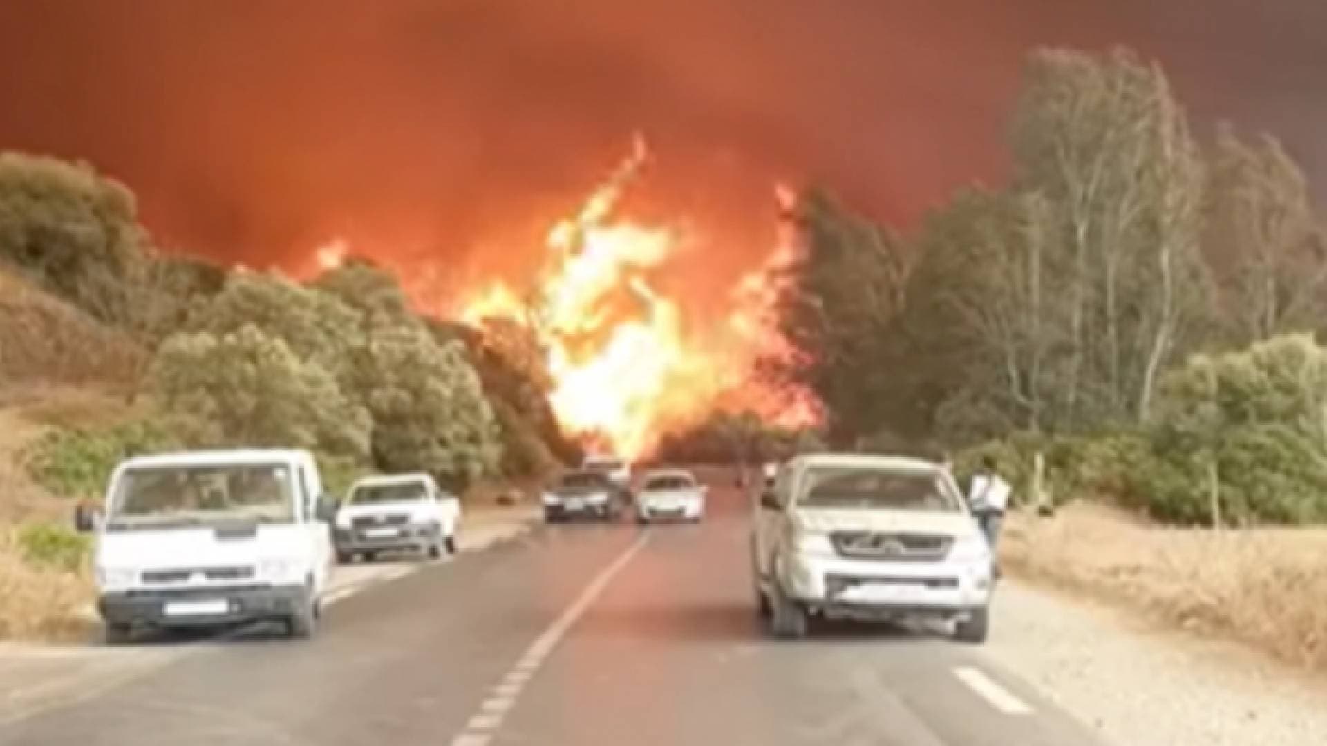 الجزائر.. اندلاع حرائق ضخمة في مدينة تيزي وزو - فيديو