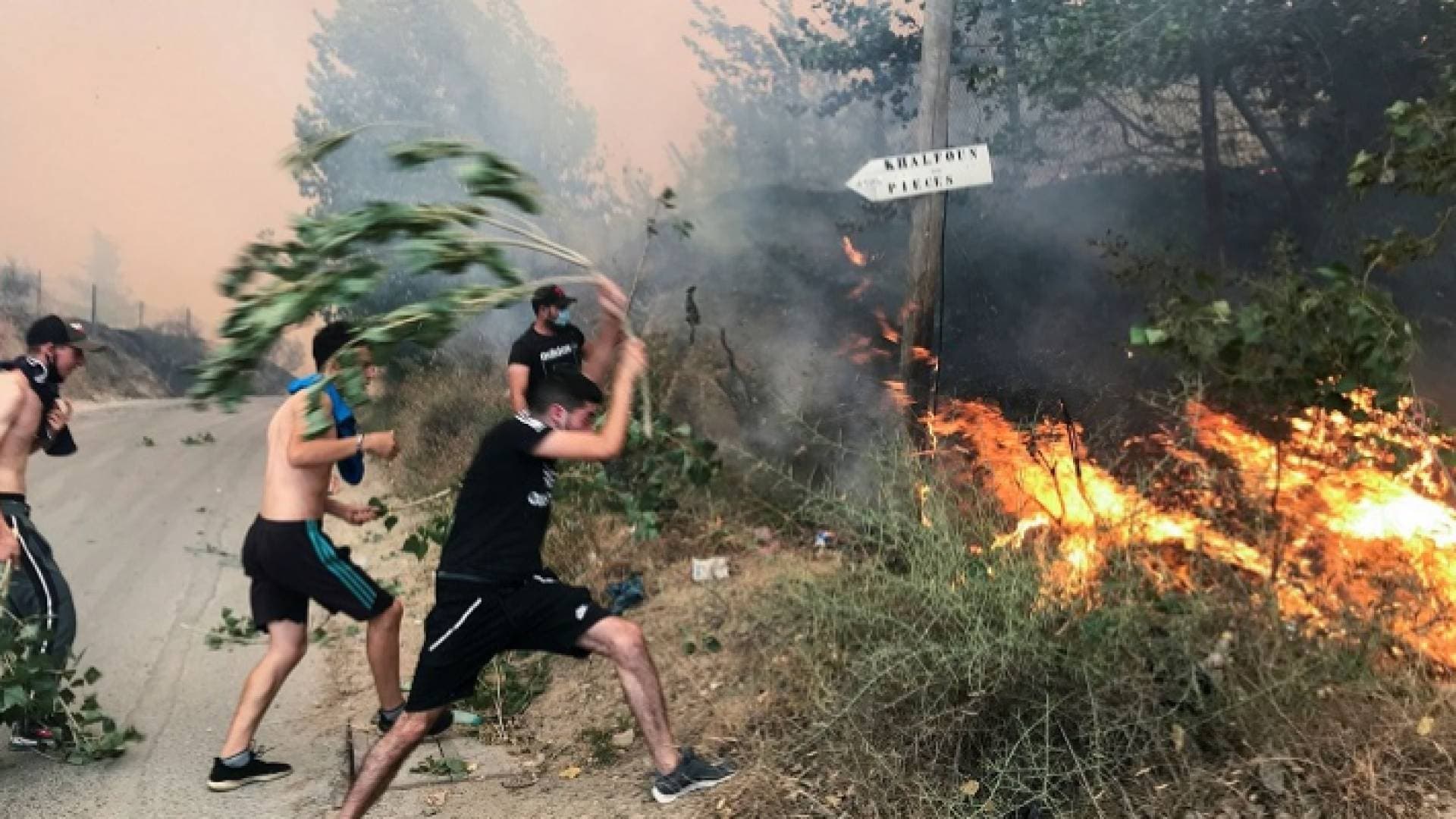 جزائريو فرنسا يتحركون في مواجهة حرائق بلادهم