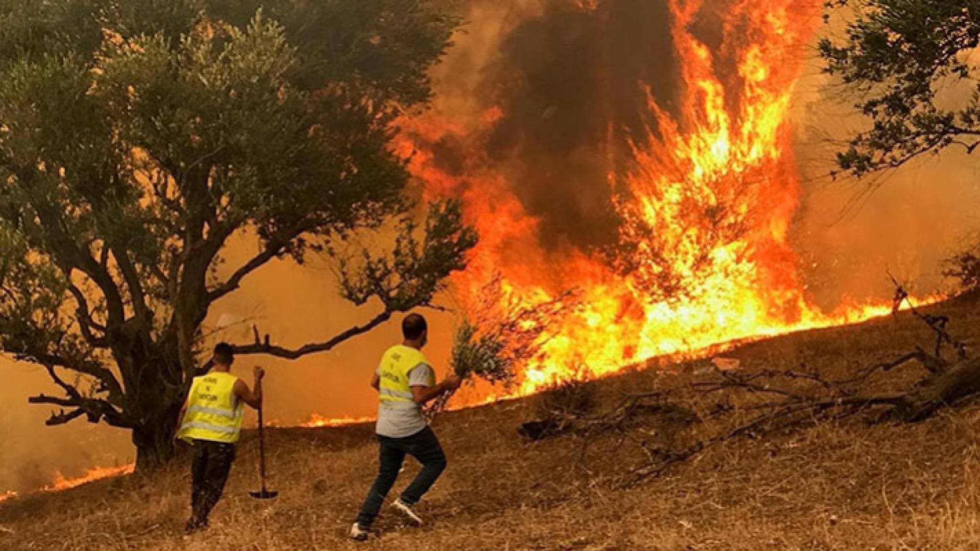 "جريمة" تهز الجزائر وهذه تفاصيلها
