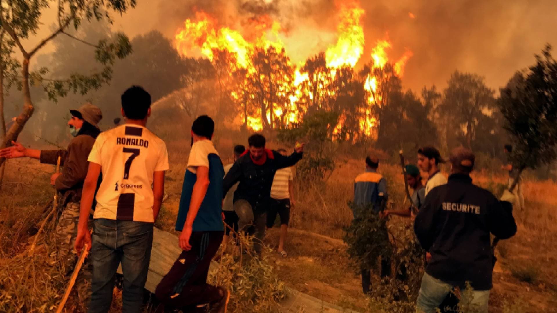 السكان في حالة صدمة.. السيطرة على غالبية الحرائق في الجزائر