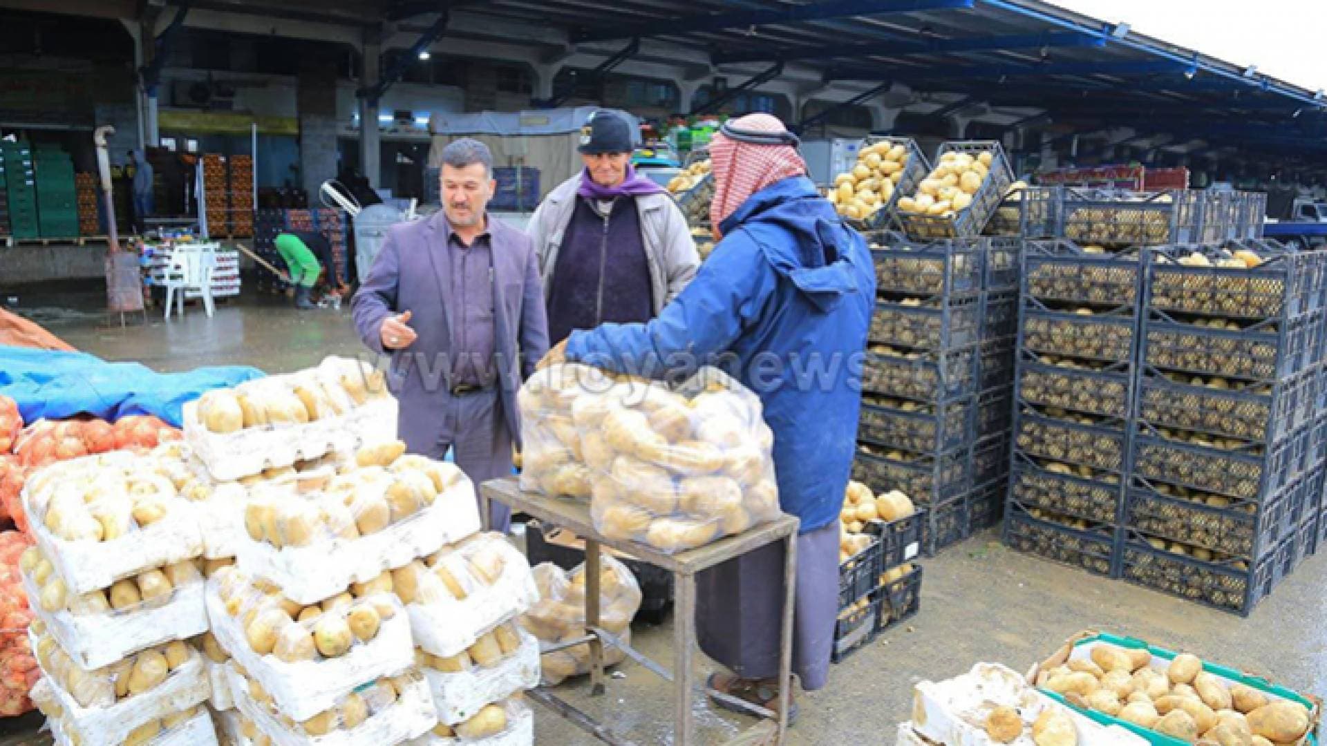 قطر تبدأ استيراد أصناف جديدة من الخضراوات والفواكه الأردنية
