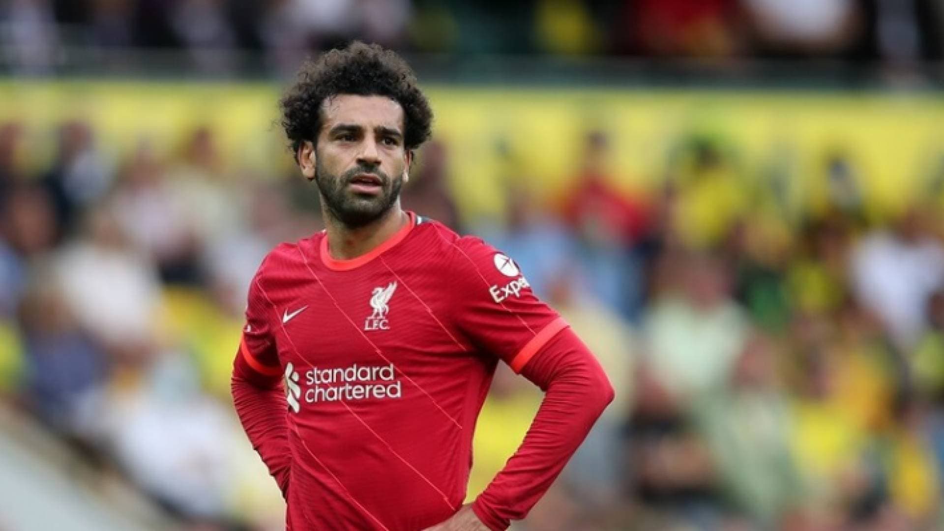 منتخب مصر يتلقى رسالة صادمة من ليفربول بشأن صلاح