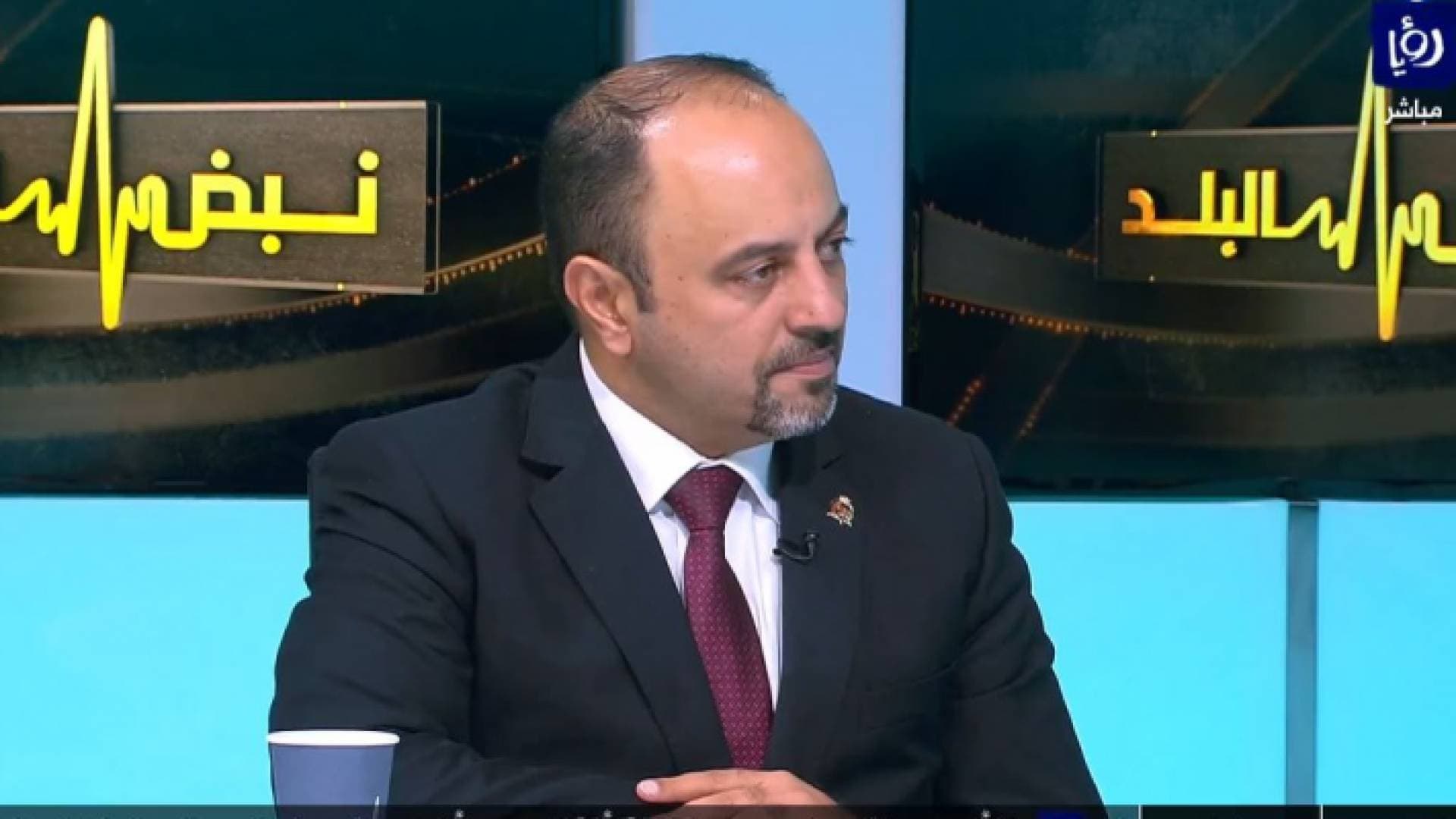 أبو الراغب لرؤيا: رفع رسوم ترخيص المواقع الإلكترونية ليس جباية - فيديو