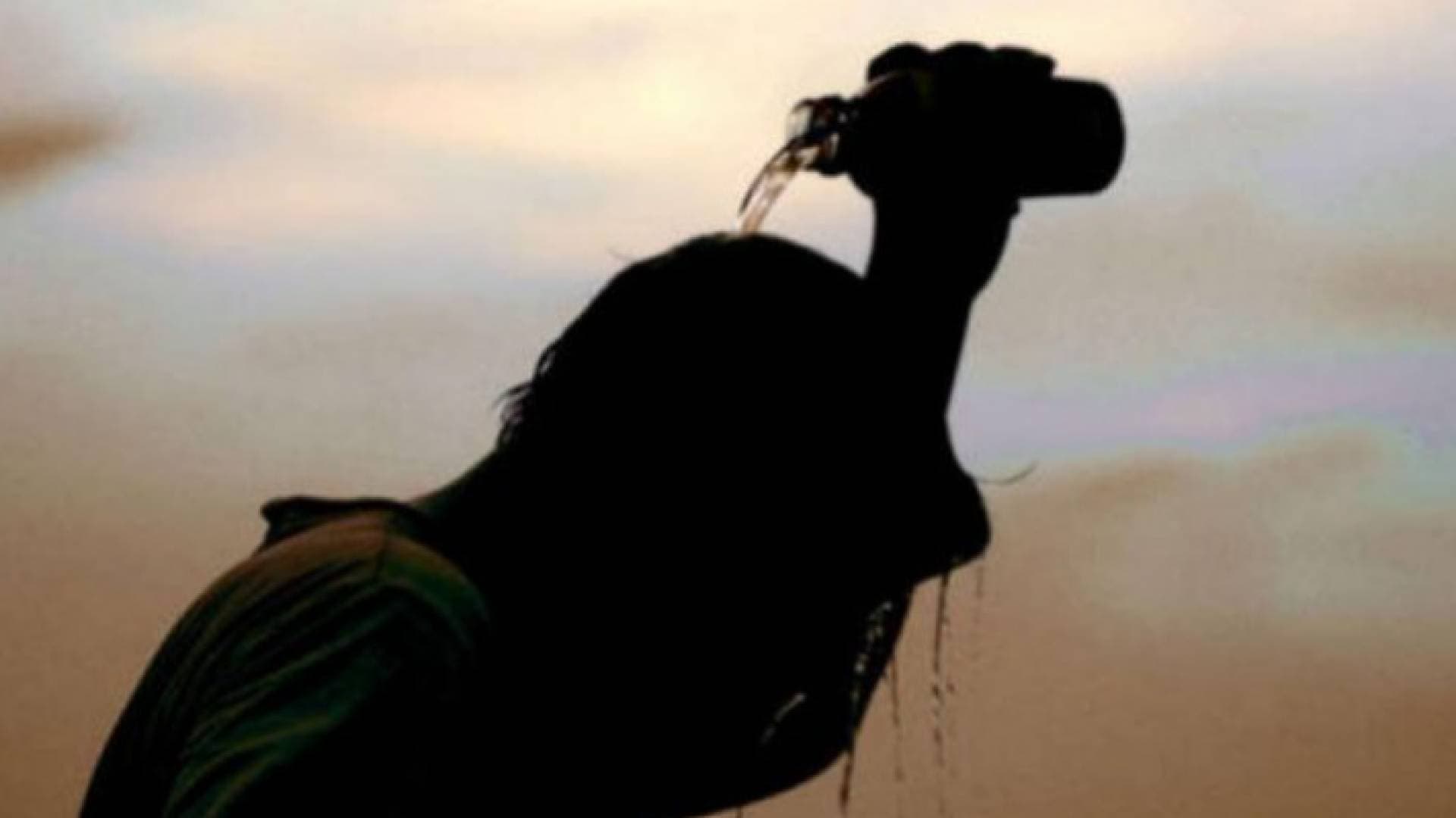 الأردن يتأثر بكتلة هوائية حارة سريعة - تفاصيل