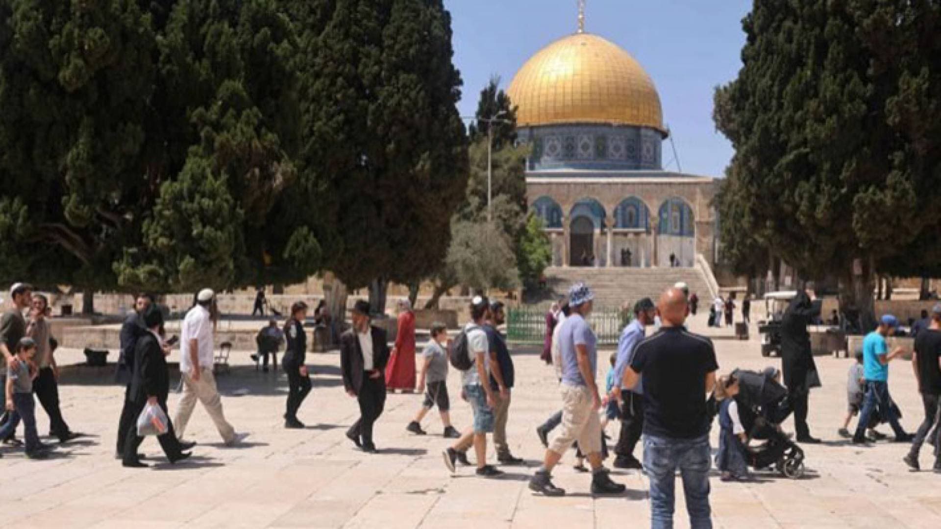 مفتي القدس يدعو إلى شد الرحال للمسجد الأقصى لمواجهة المستوطنين