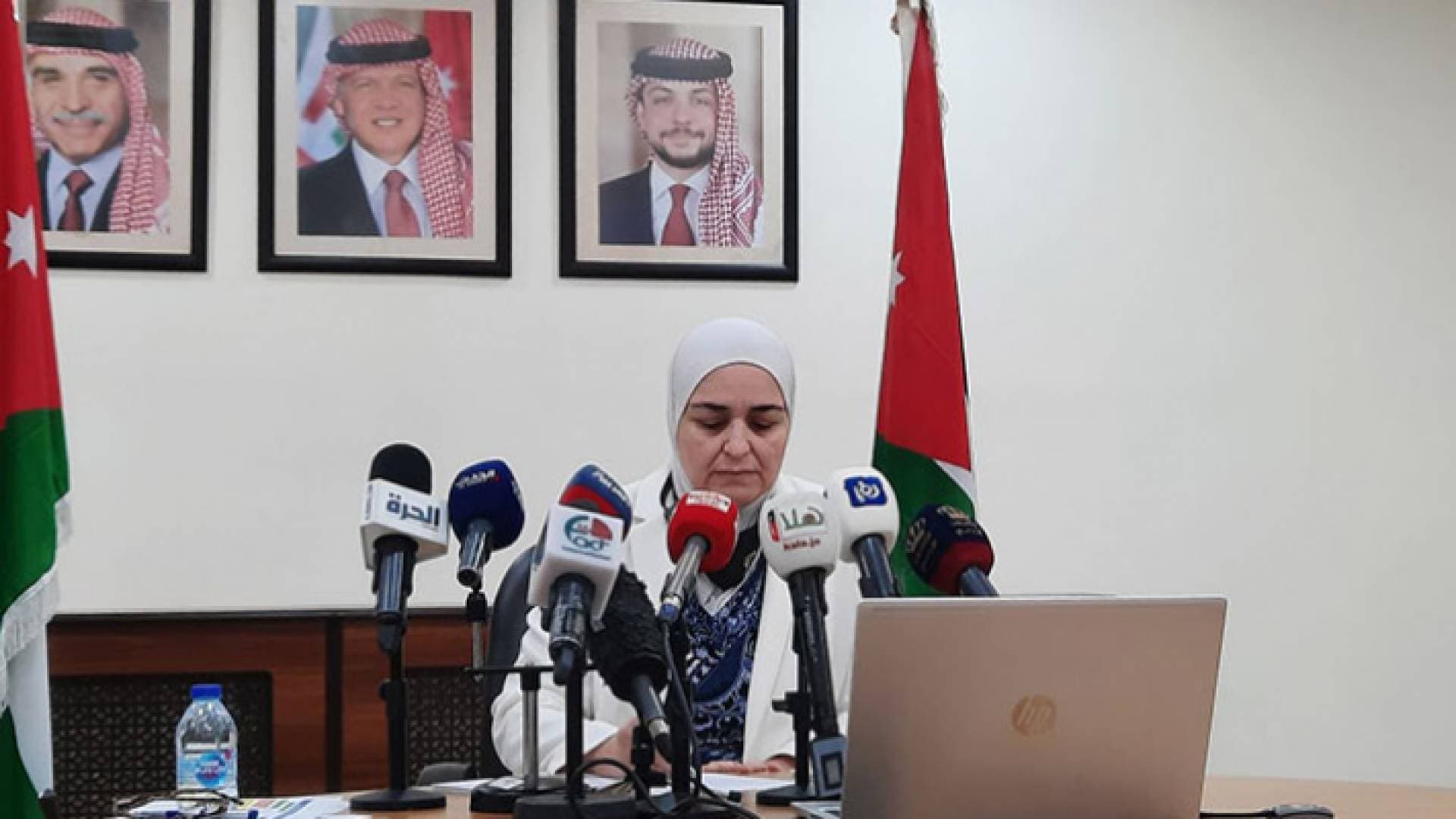 "الطاقة": حريصون على تحقيق التوازن بين الاستثمار والبيئة في ضانا