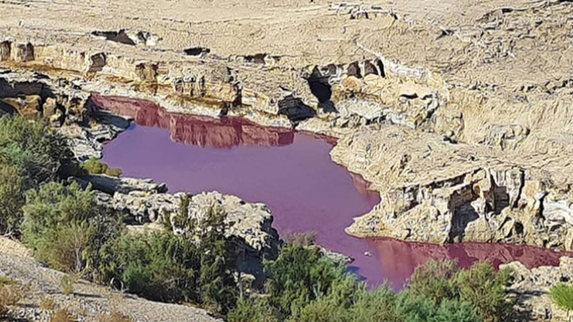 ظهور مياه حمراء في منطقة البحر الميت.. ومسؤول حكومي يوضح
