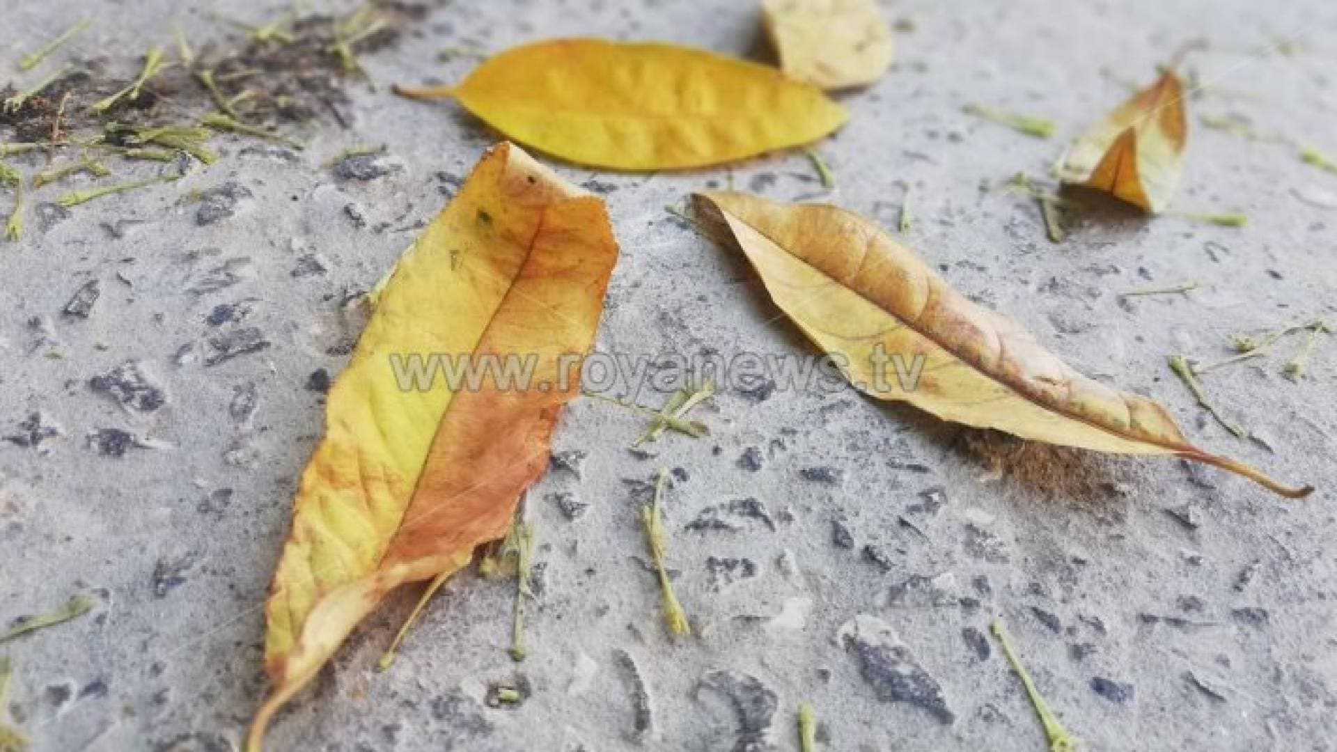 هذا موعد الاعتدال الخريفي في الأردن لعام ٢٠٢١
