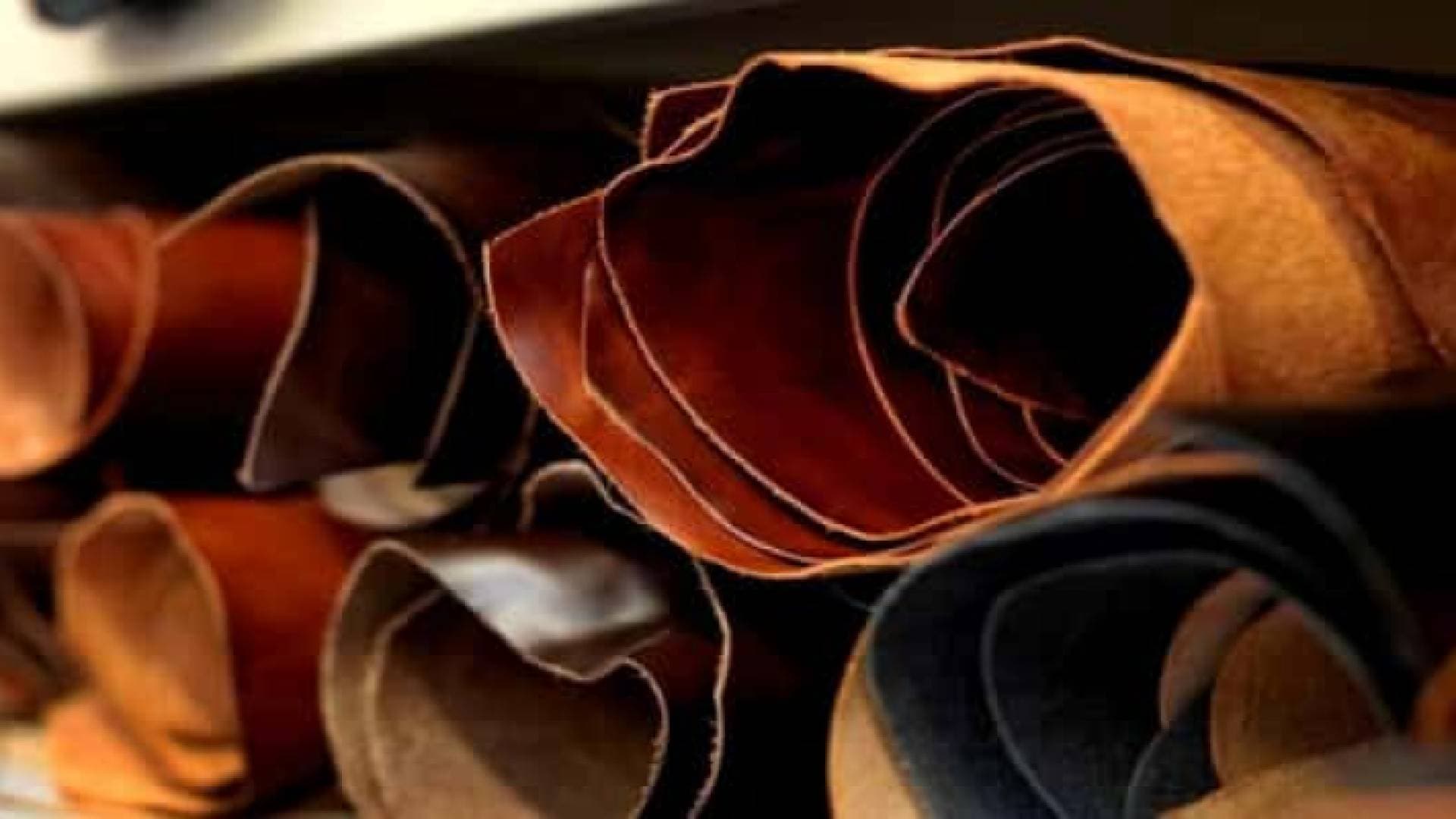 بالفيديو.. تعرف إلى أول مدبغة للجلود في فلسطين والأردن