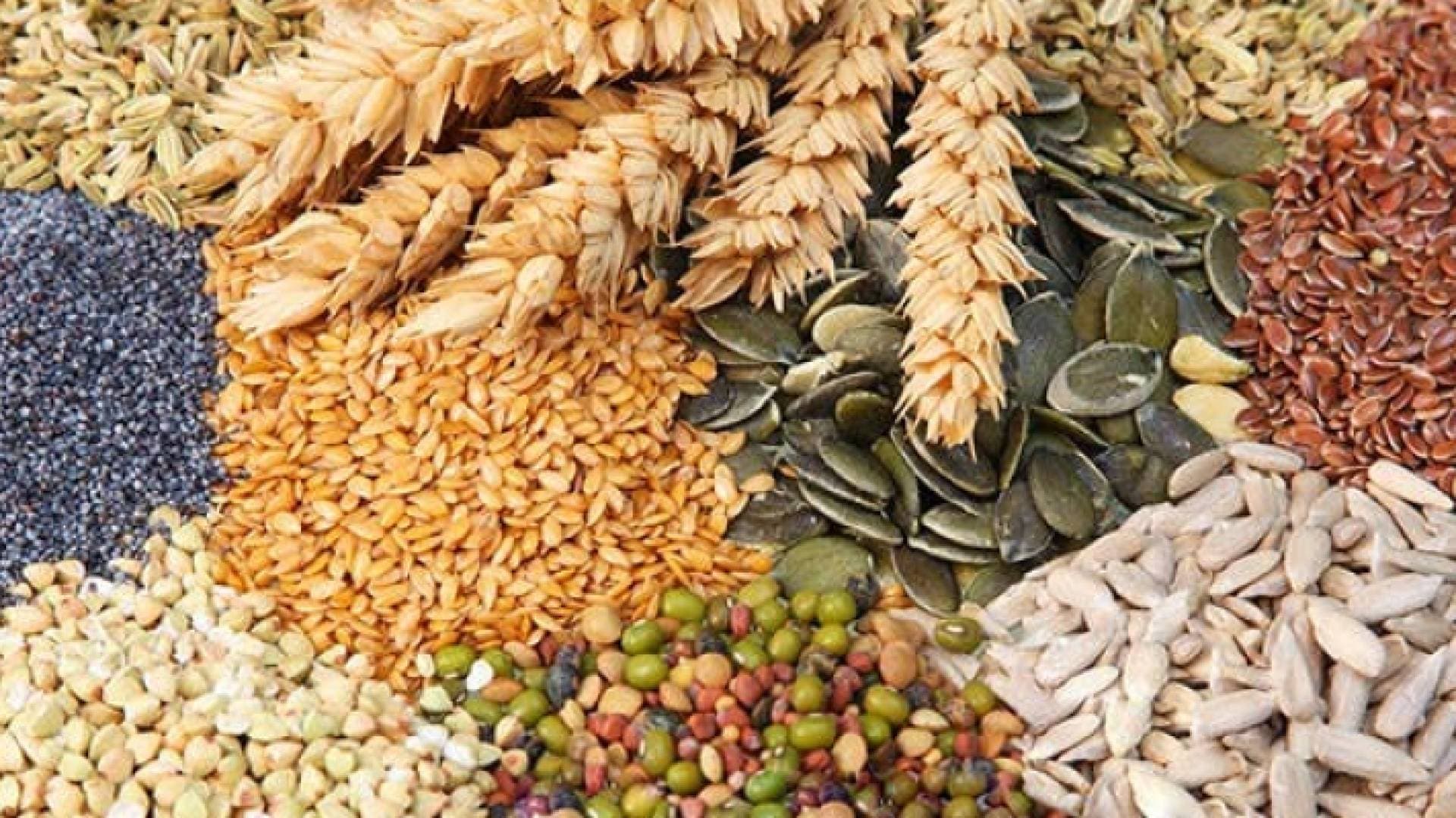 بيان "حكومي" حول سلامة الغذاء في الأردن.. تفاصيل