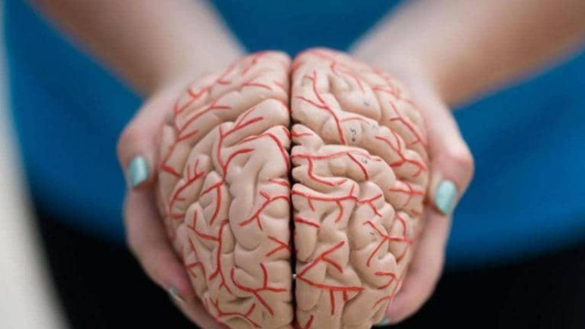 لماذا نتذكر تجاربنا المريرة بسهولة؟ دراسة تشرح السبب