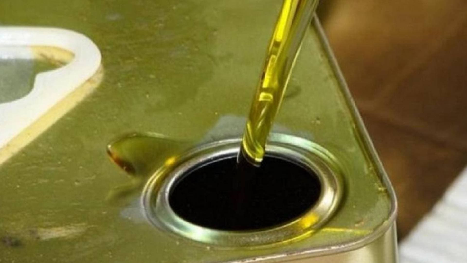 كود تتبع لكل عبوة زيت على أرض مهرجان الزيتون