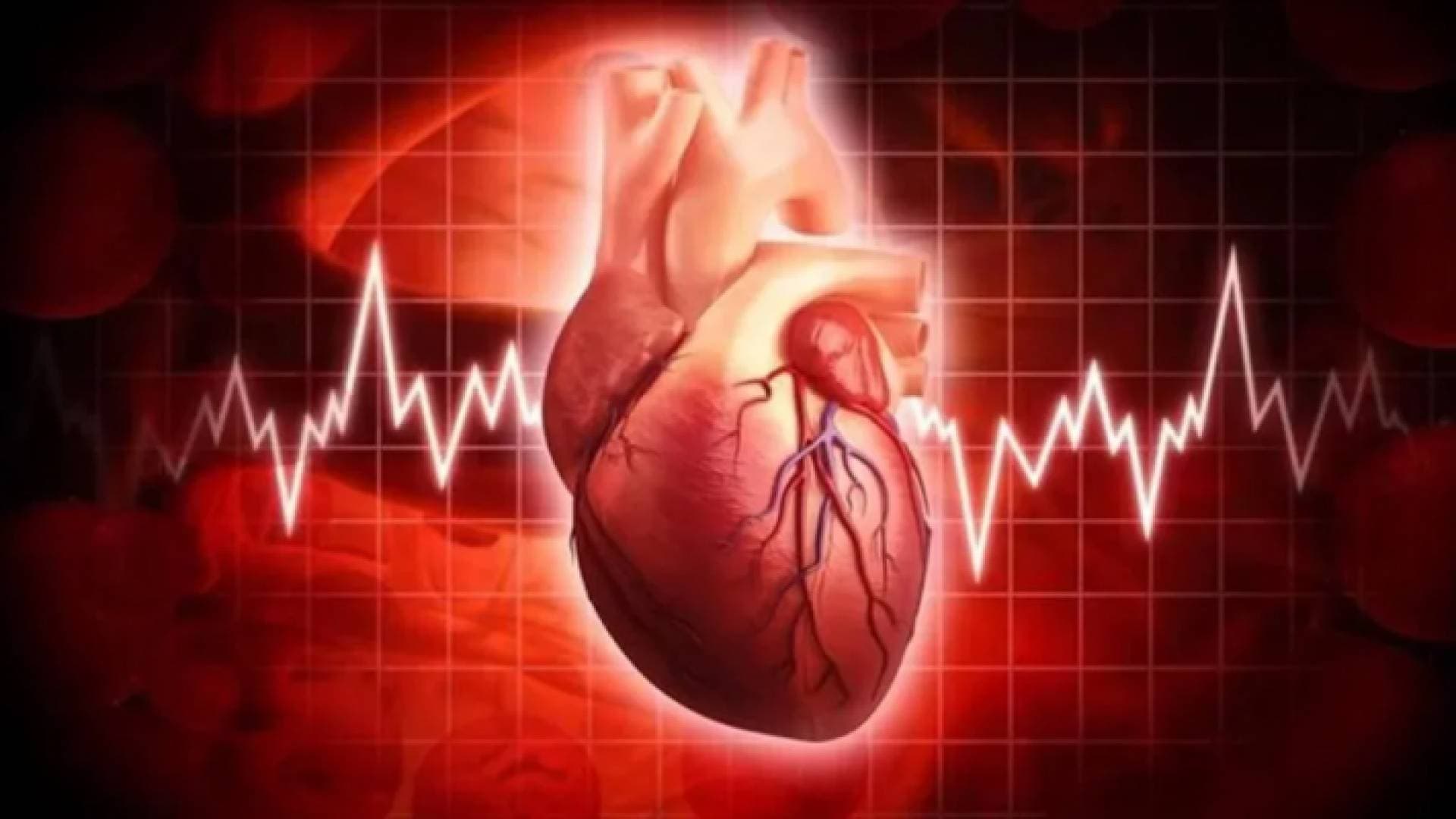 مختصة روسية تكشف أسباب تسارع ضربات القلب