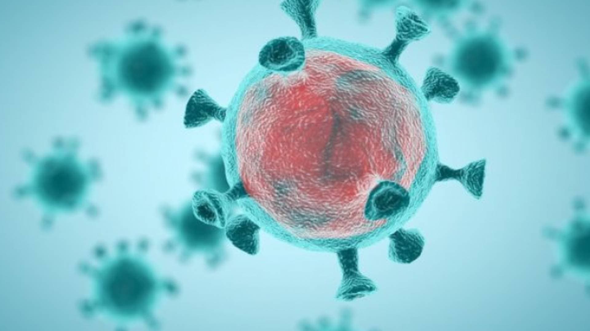 الصحة: دخول الموجة الثالثة من كورونا يتطلب الالتزام وتلقي المطعوم