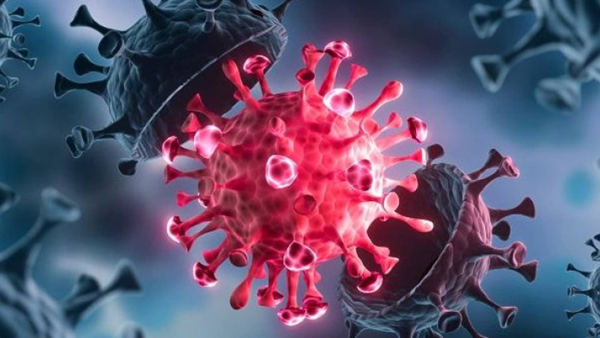 الصحة العالمية: لا أدلة تثبت أن متحور "أوميكرون" أكثر شراسة من "دلتا"