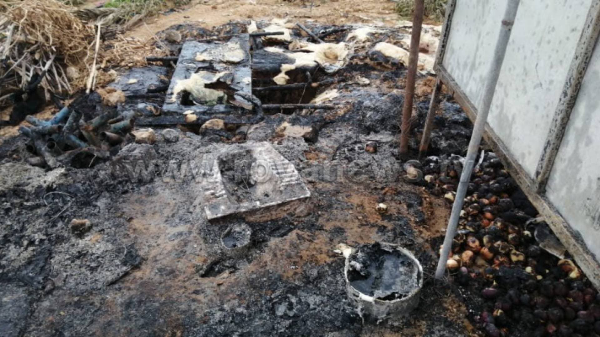 الخصاونة يتكفل بايواء الطفلة الكفيفة التي قضت عائلتها حرقا في البلقاء - فيديو
