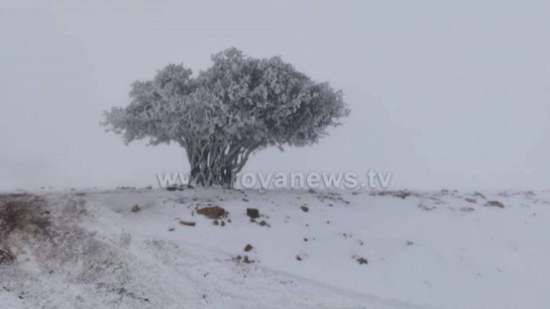 هل الأردن على موعد مع منخفض جوي قطبي ثلجي بداية ٢٠٢٢؟.. طقس العرب يجيب - فيديو