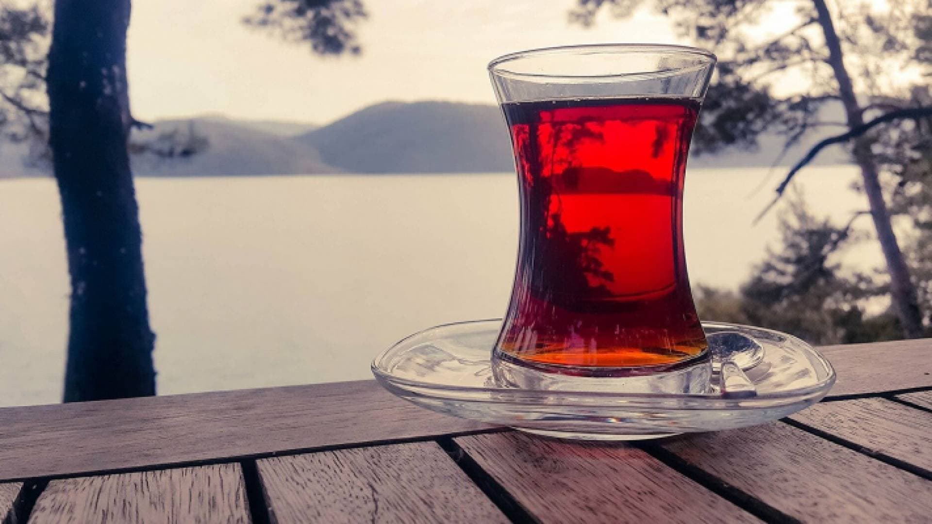 ماذا يحدث لجسمك عند تناول كوب من الشاي يوميا؟