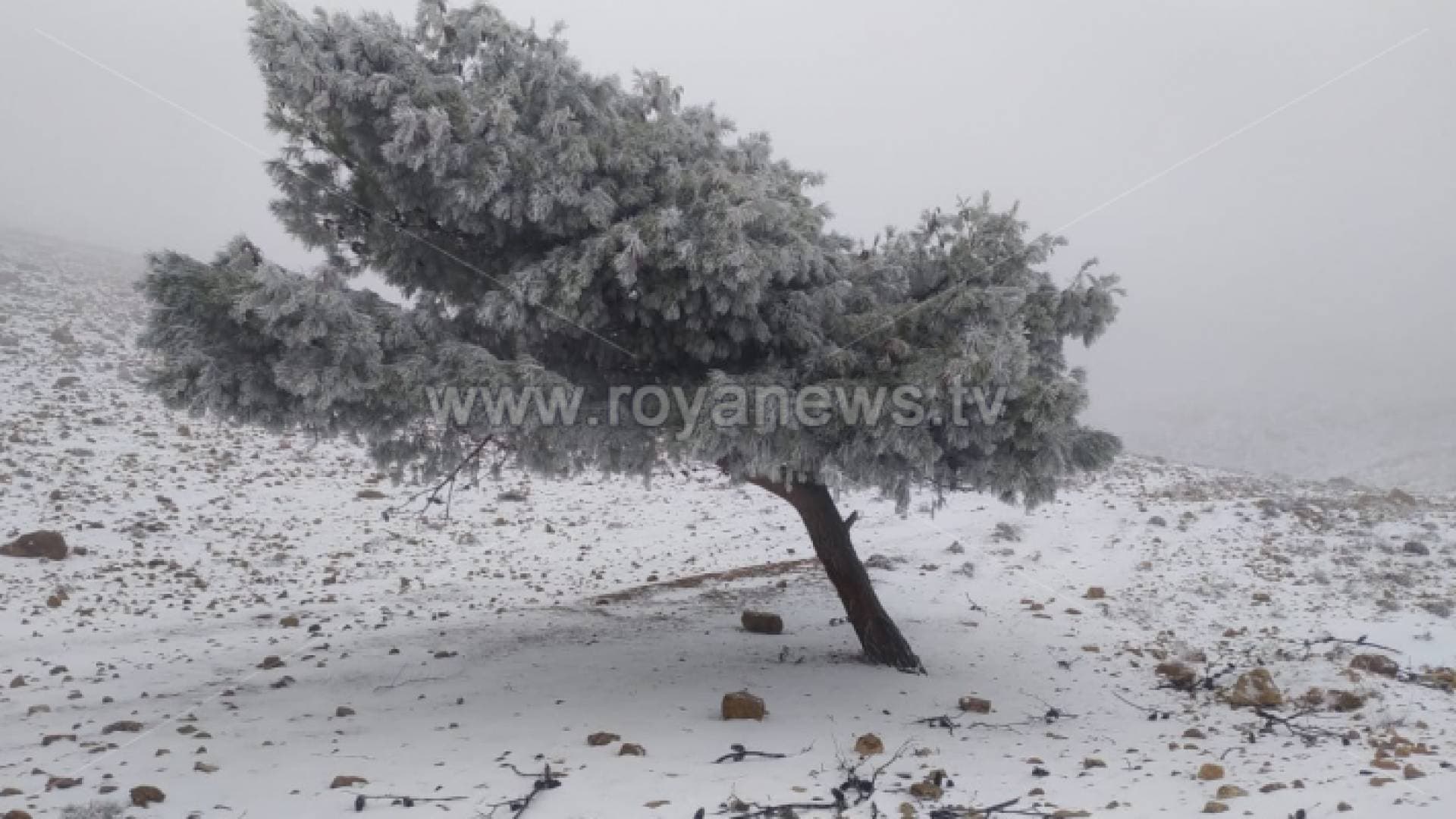 تعرف على المناطق الأعلى في سماكة الثلوج بالأردن