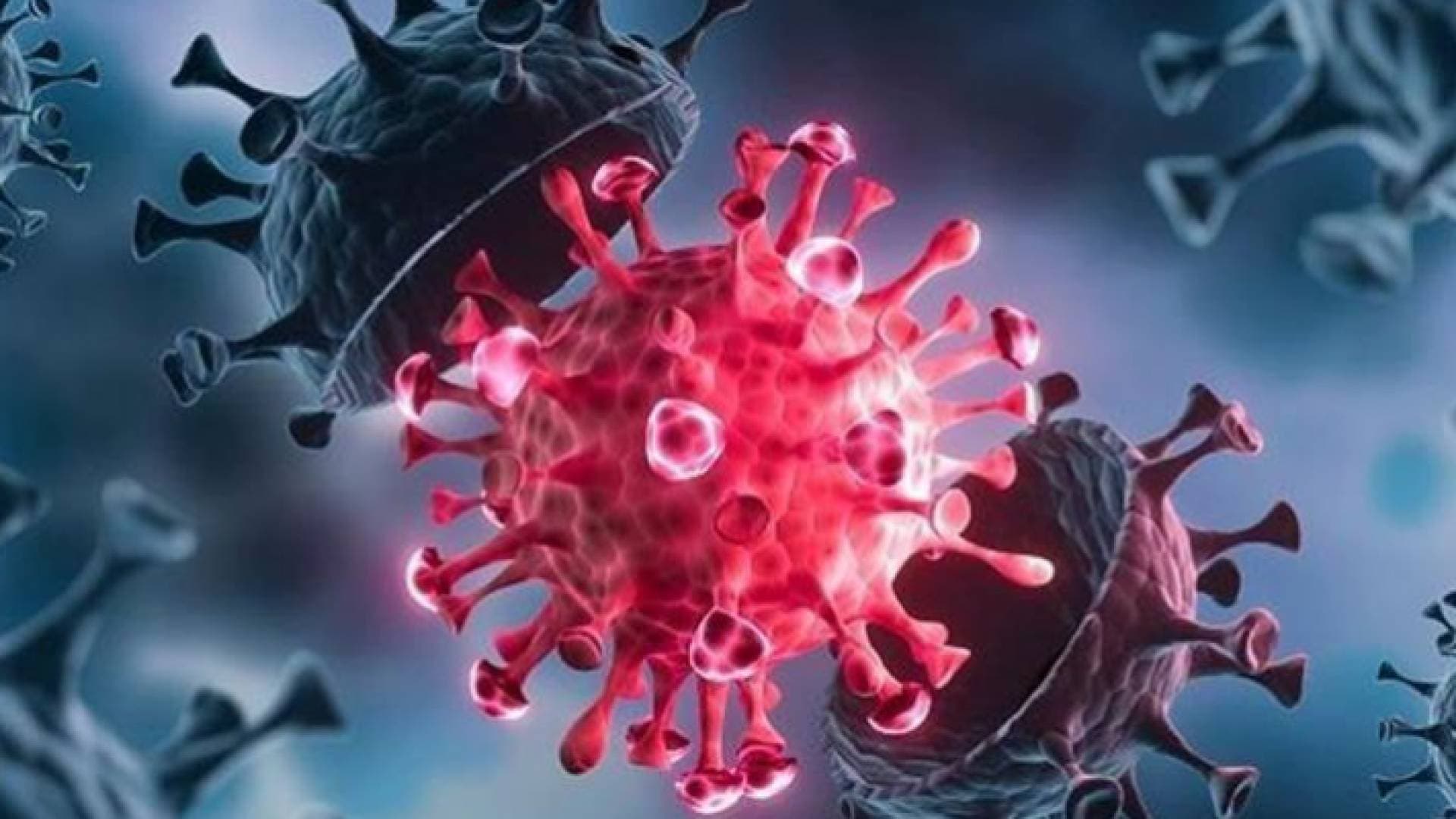 ٣ فرضيات لتفسير نشأة اوميكرون الذي حير العلماء