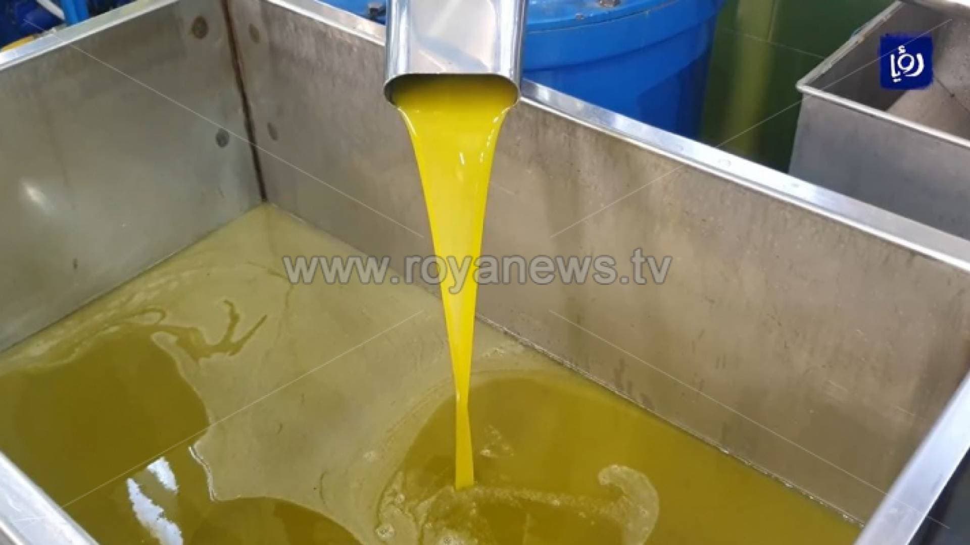الأردن يوقف إدخال زيت الزيتون من فلسطين