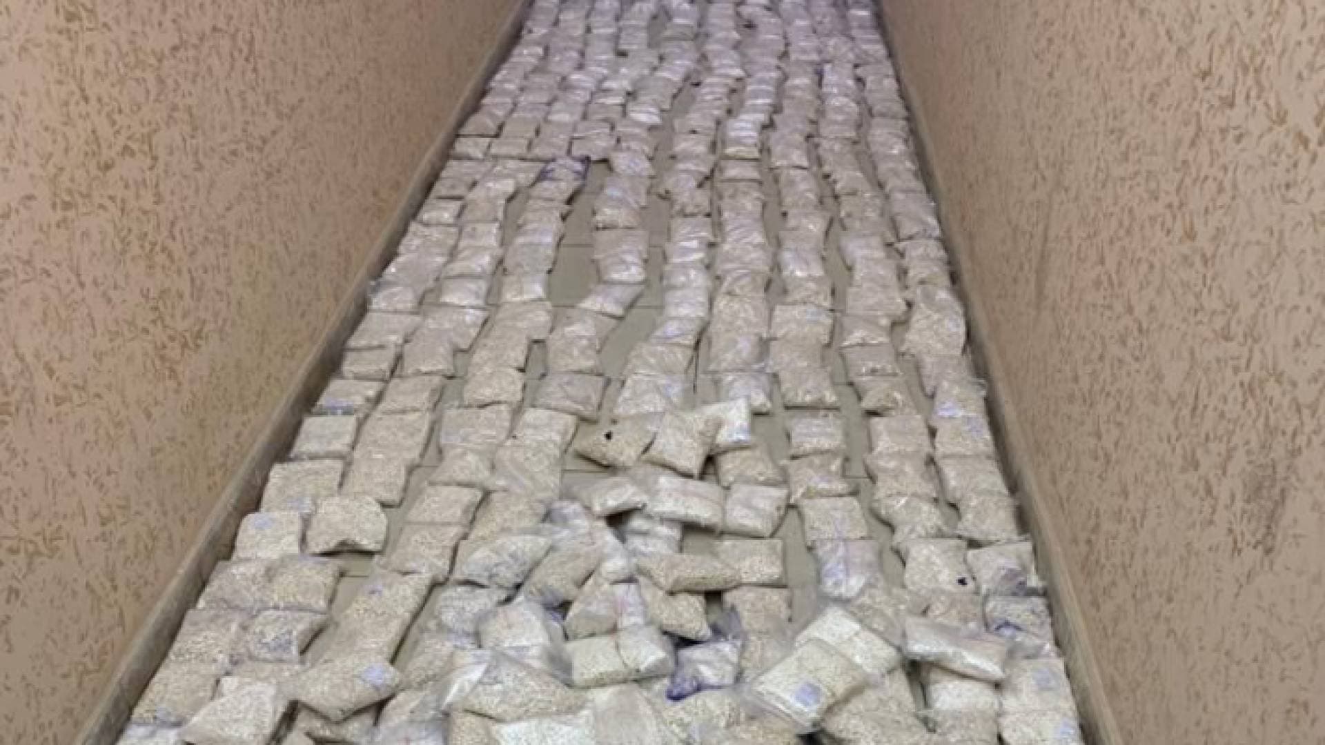 الأمن: إحباط محاولتين لتهريب حبوب مخدرة داخل إطارات مركبات وأدوية للطيور - صور
