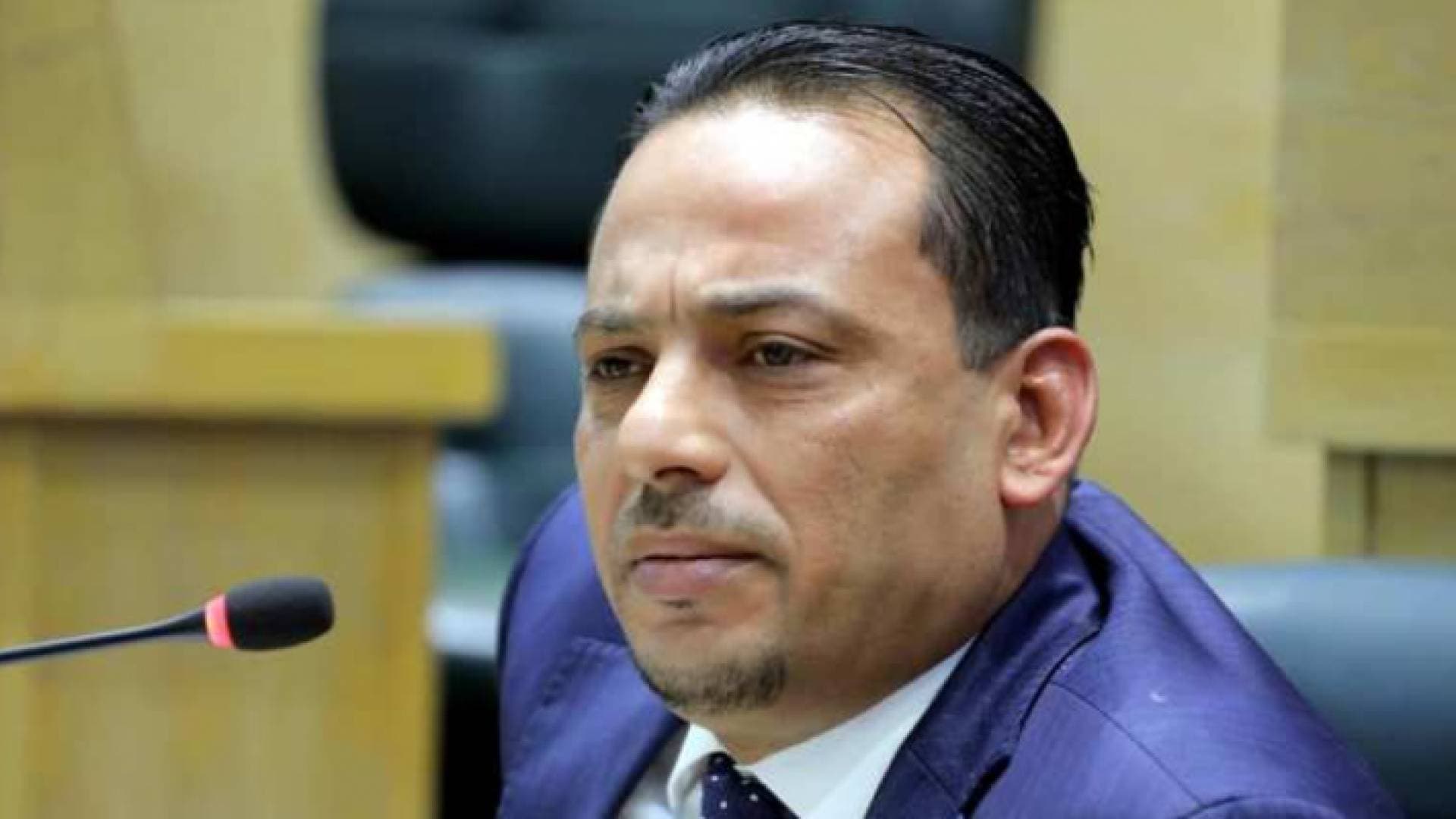 العلاقمة: الحكومة تتجاهل دور مجلس النواب - فيديو
