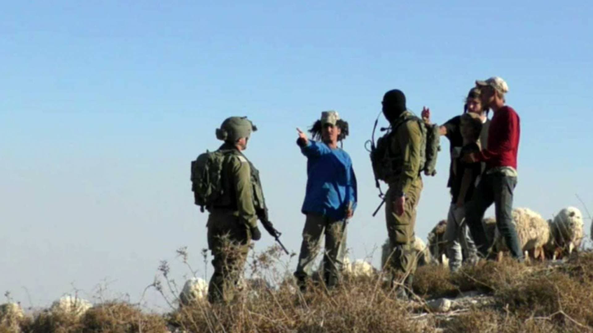 المستوطنون يصعدون من انتهاكاتهم بحق الفلسطينيين - فيديو