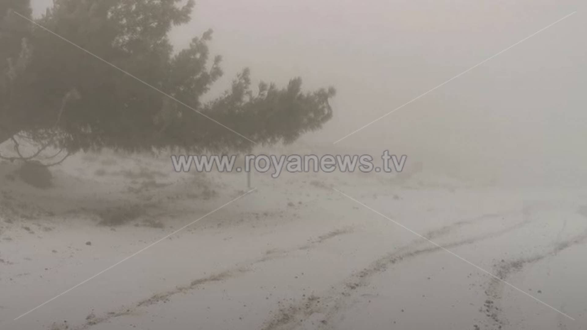 طقس العرب: زخات متفرقة من الثلوج تبدأ بعد ساعات قليلة في الأردن - فيديو