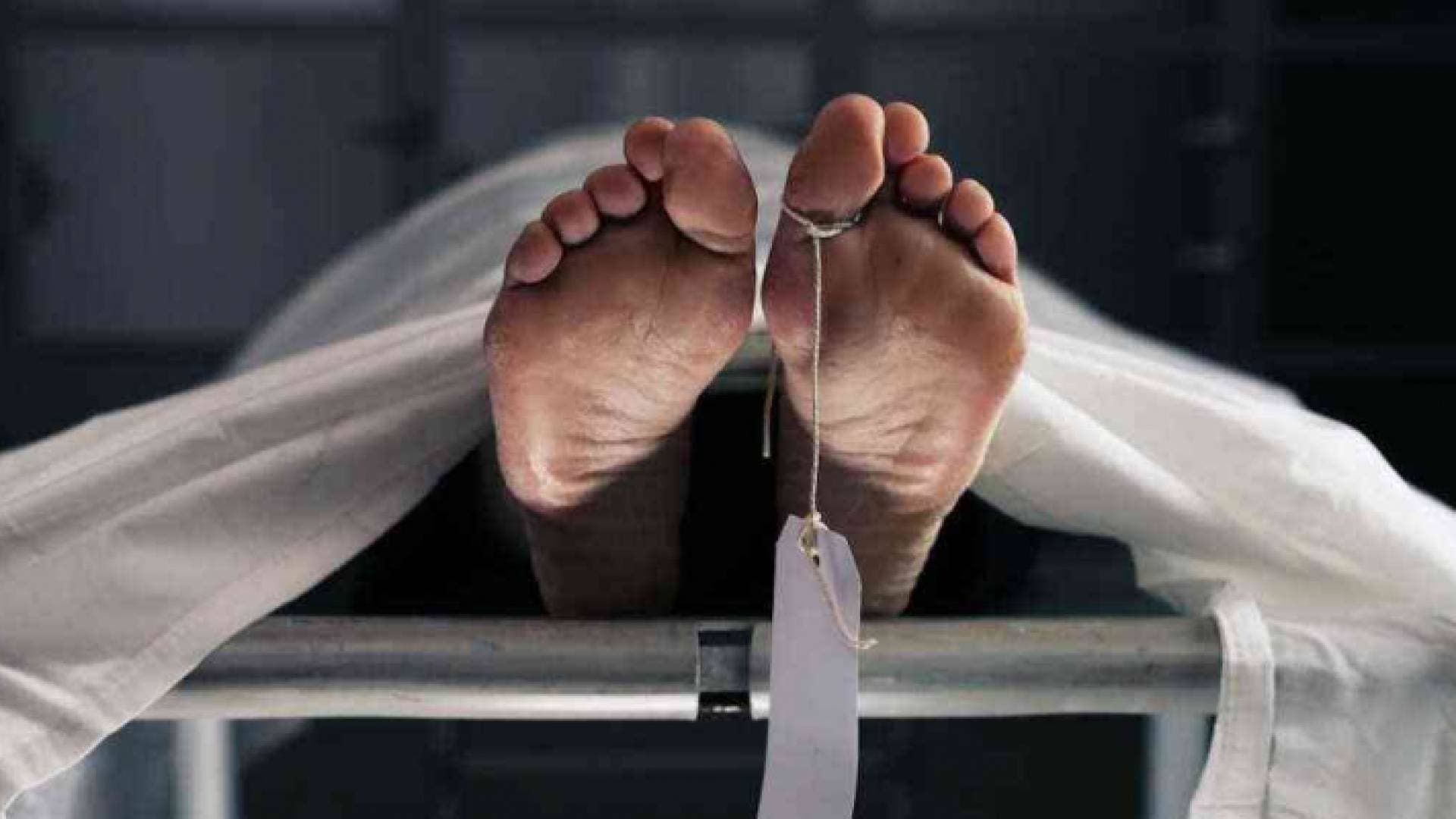 جريمة تهز مصر .. شقيقه وزوجة شقيقه قتلوه بالسكين
