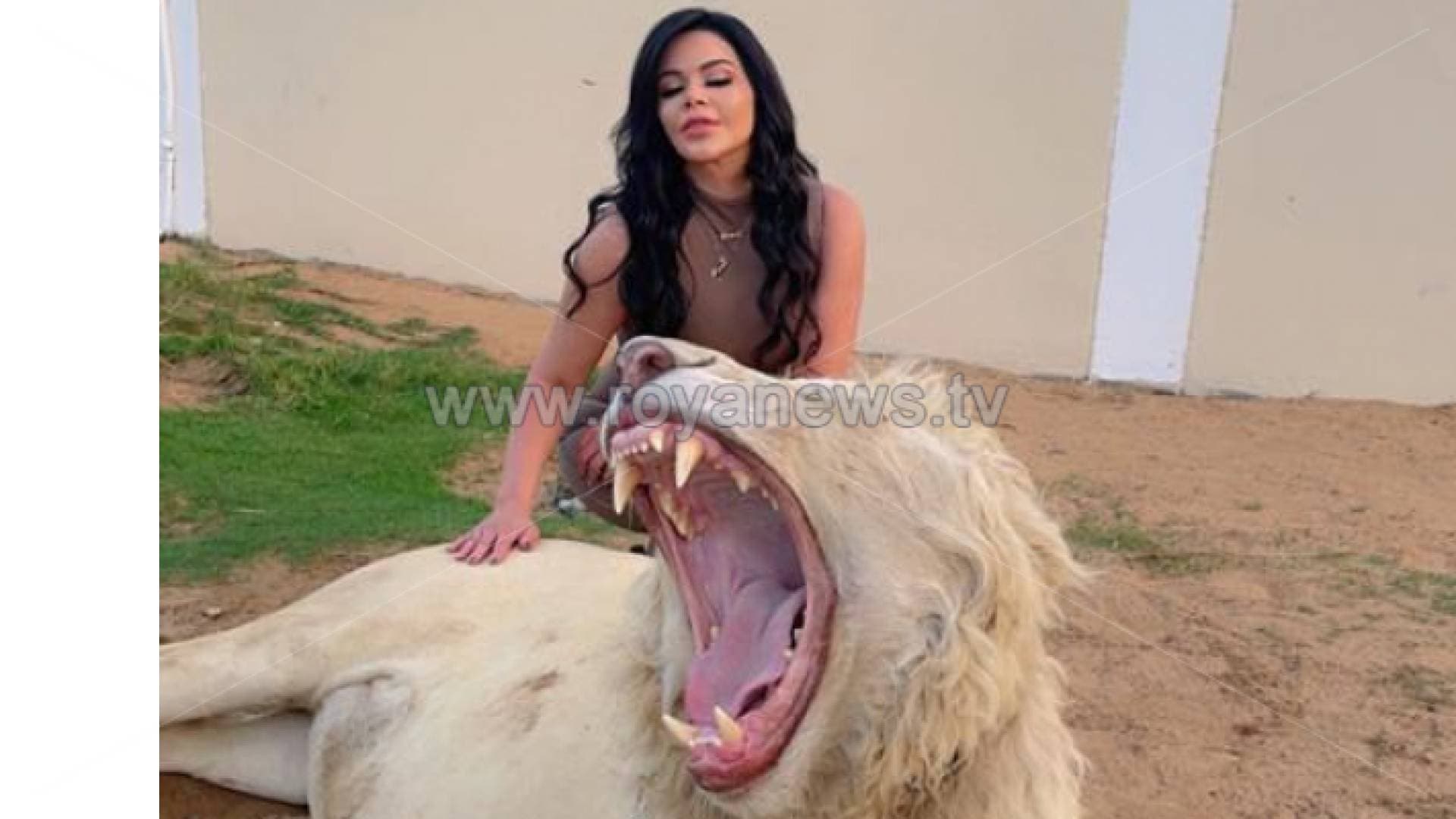 لارا العبداللات تكسر حاجز الخوف وتلاعب نمورا وأسودا.. صور