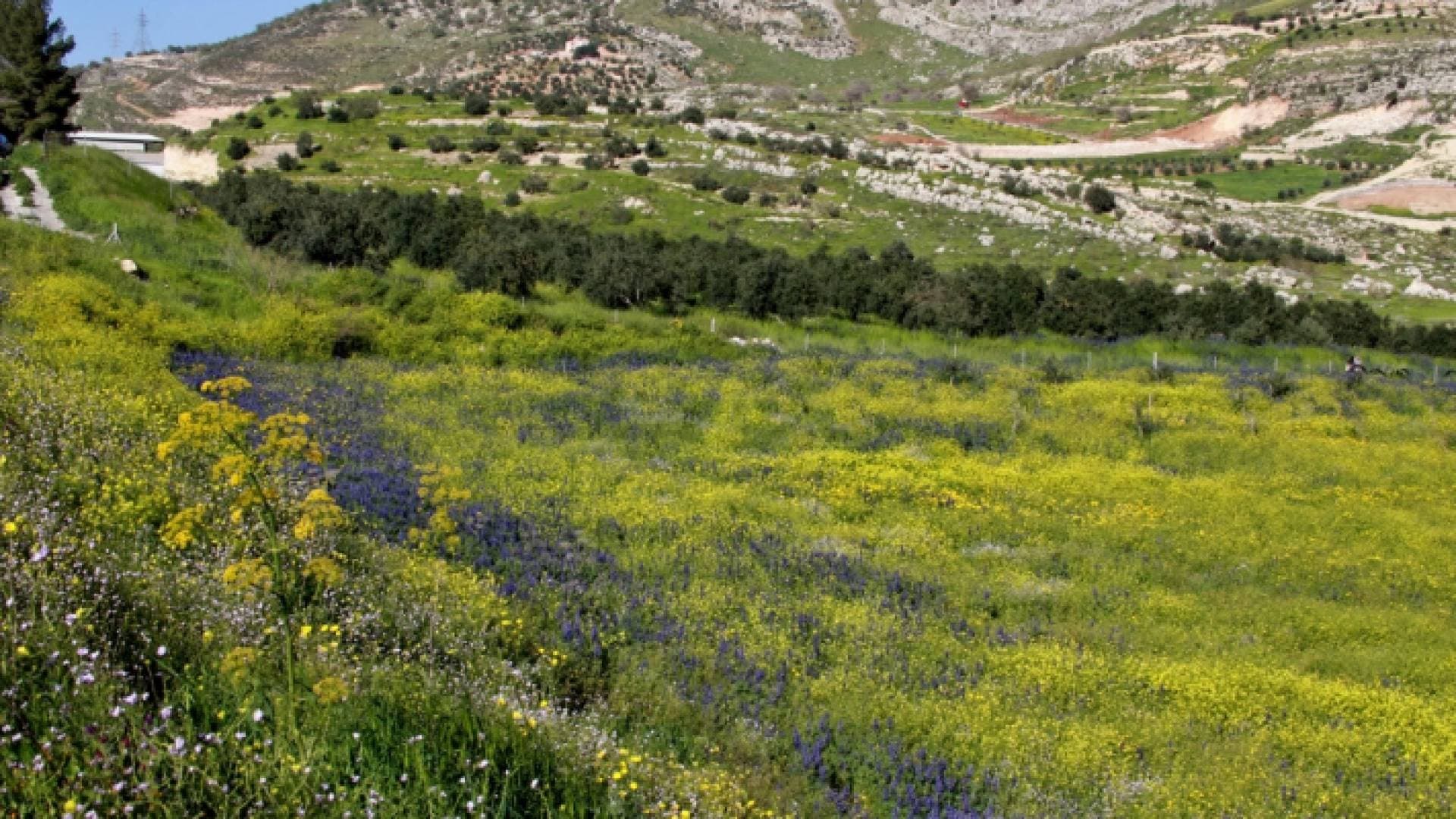 أجواء دافئة في أغلب مناطق المملكة الجمعة وحارة نسبيا السبت