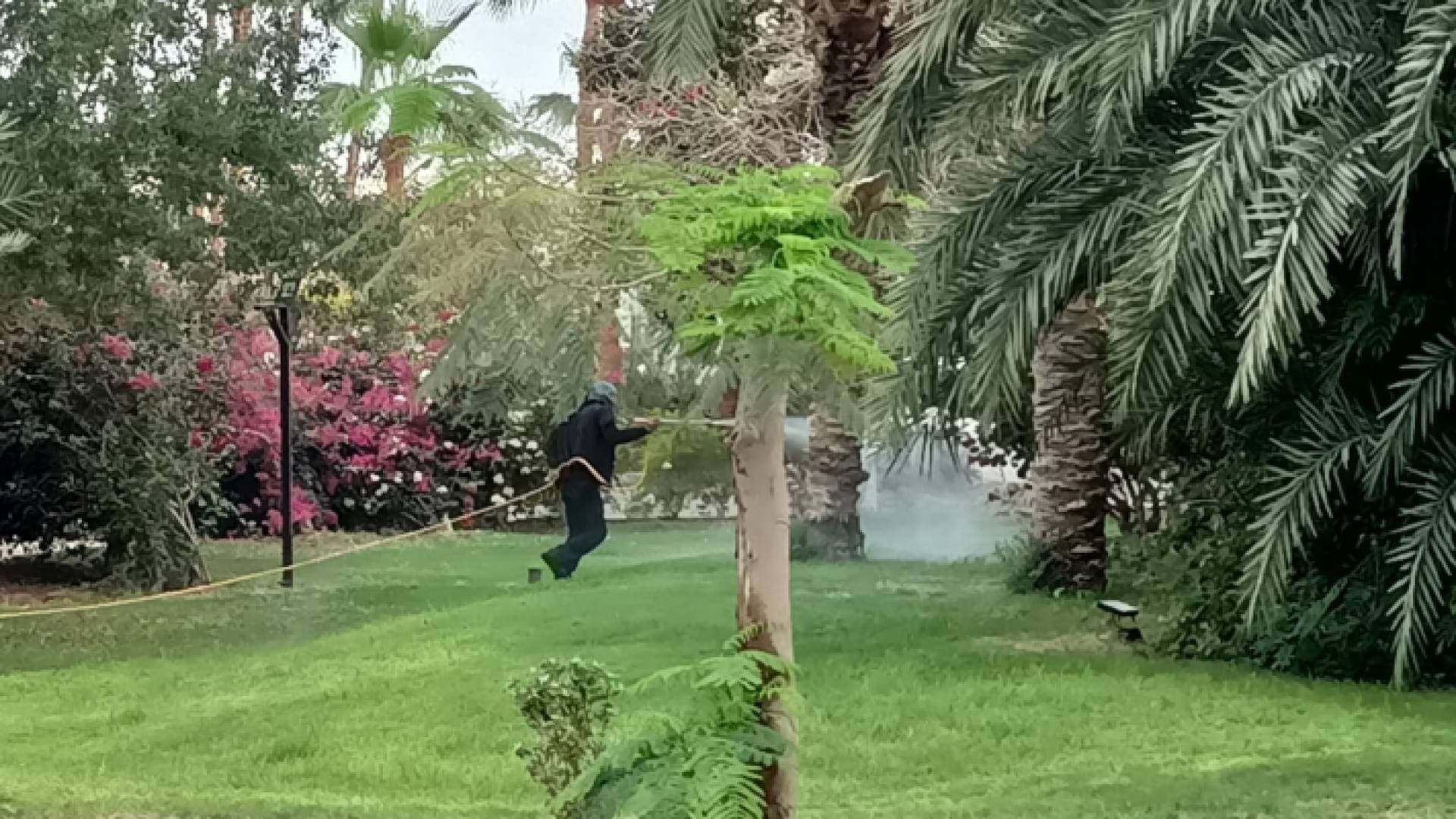 حملة لمكافحة الذباب المنزلي في وادي الأردن
