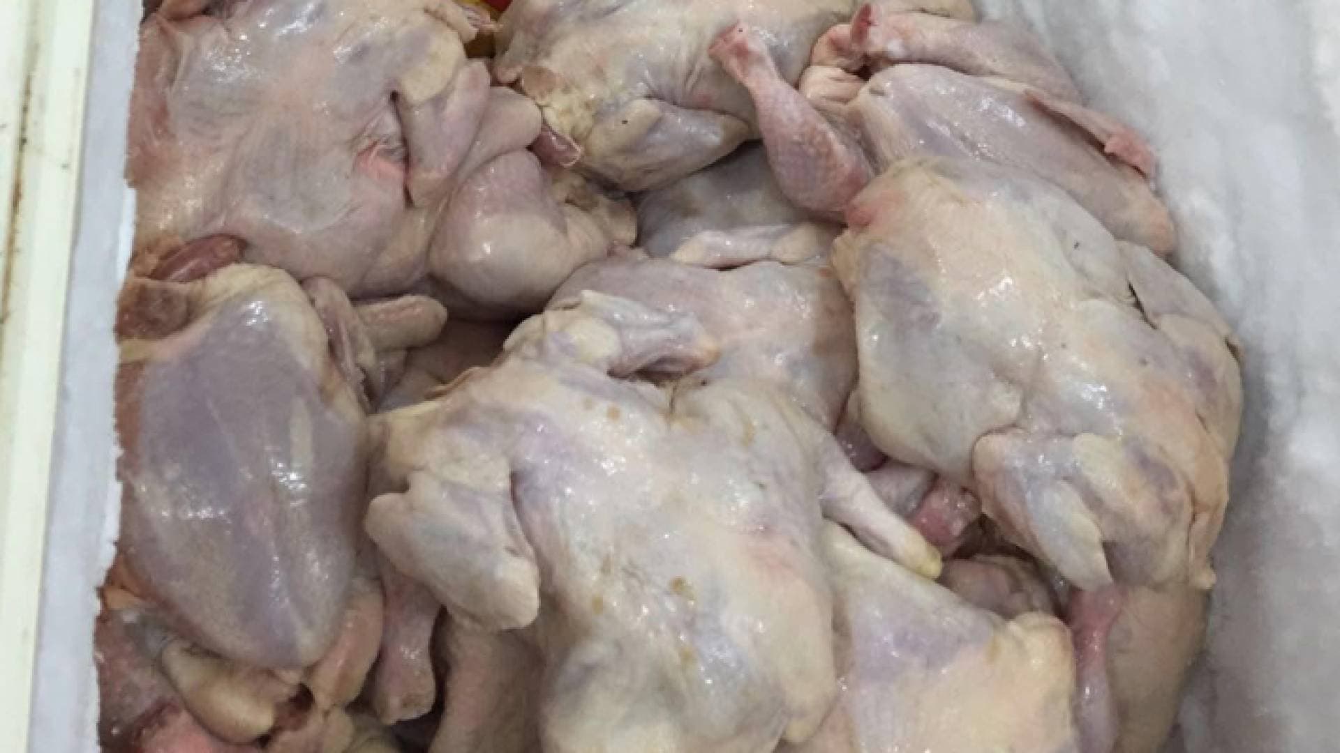 إتلاف كميات من الدواجن مخالفة للاشتراطات الصحية في بعض مطاعم الرصيفة
