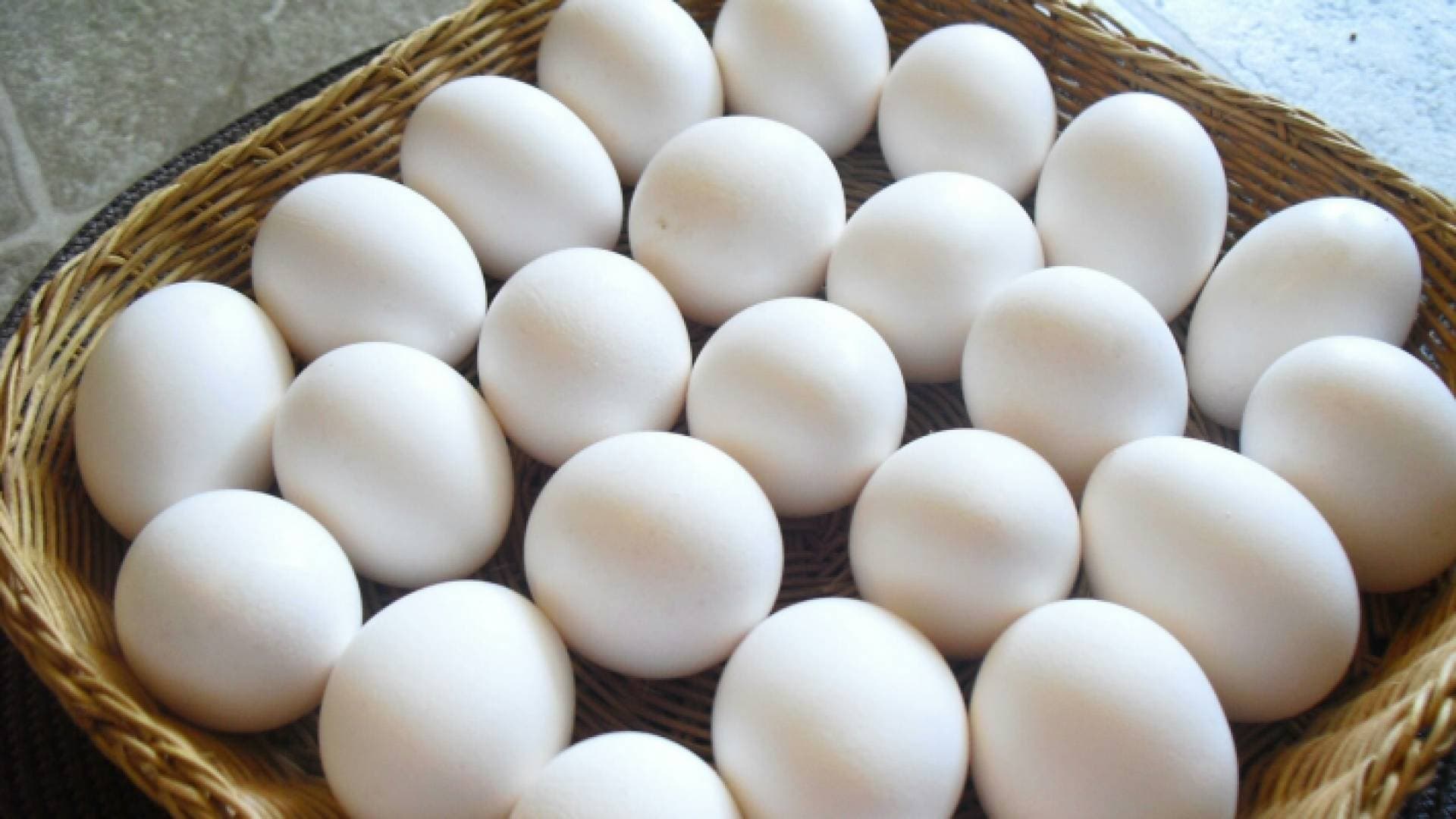 ارتفاع أسعار البيض عالميا بسبب إنفلونزا الطيور وحرب أوكرانيا