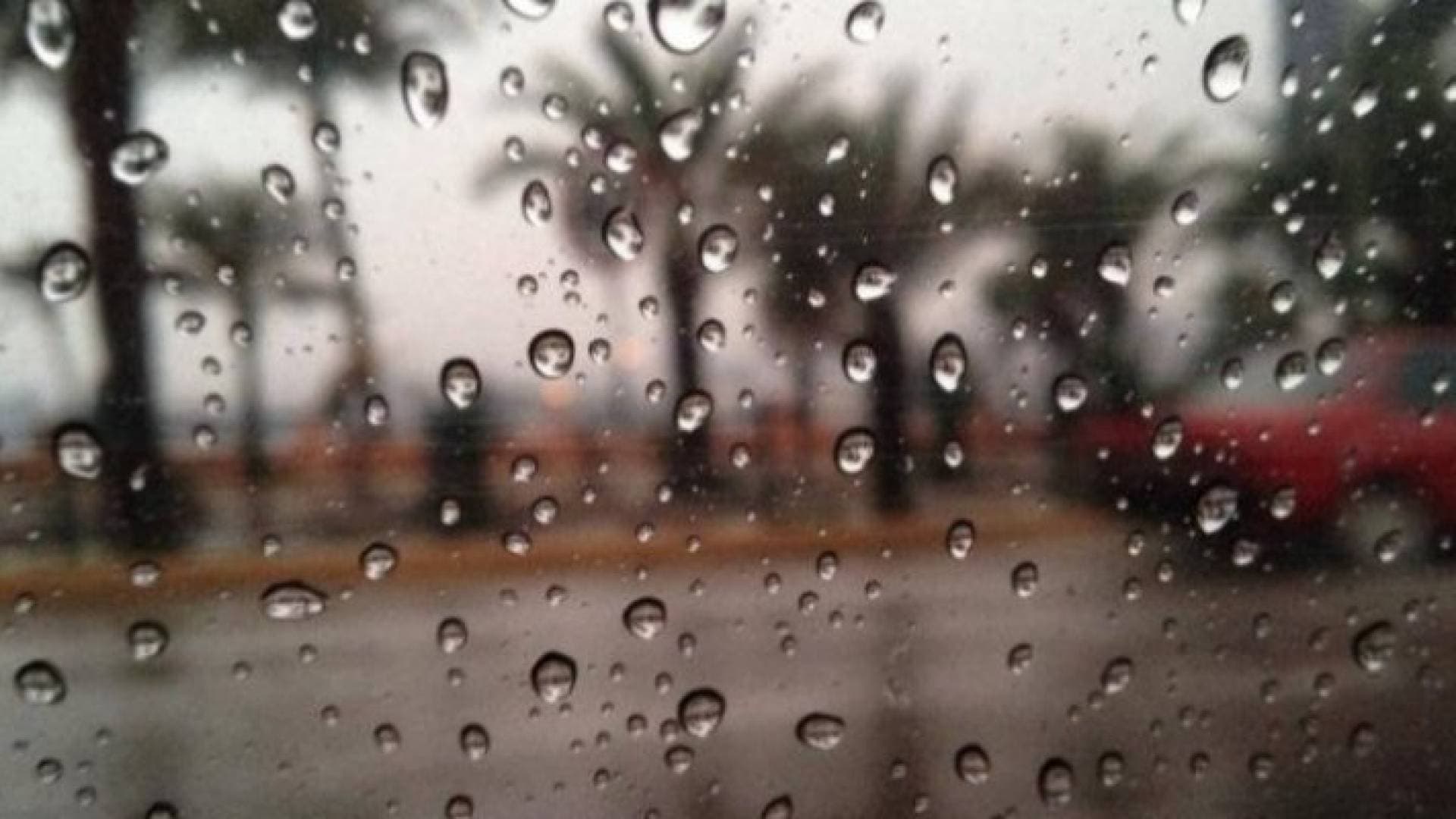 طقس العرب: فرصة لهطول زخات من الأمطار الخميس.. تفاصيل