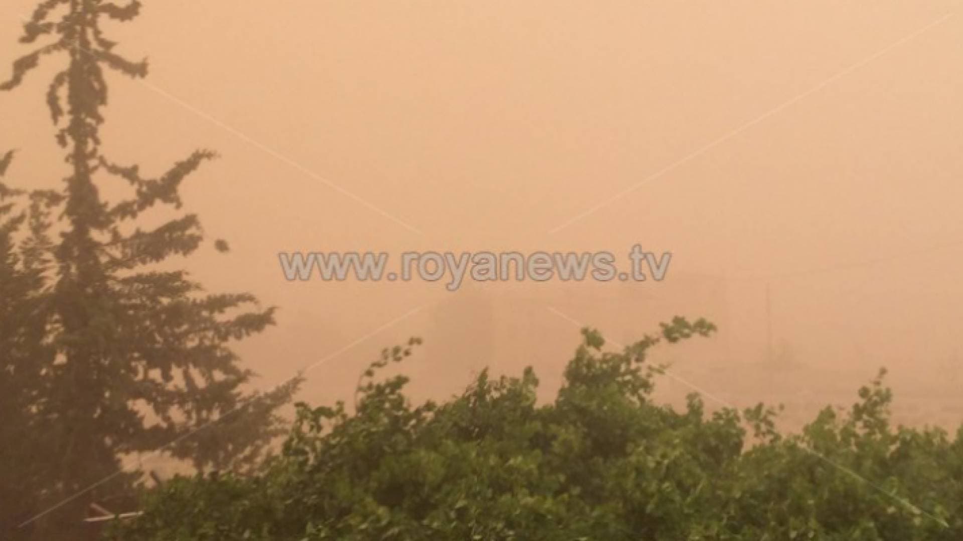 أمطار وغبار.. أجواء خماسينية تؤثر على الأردن