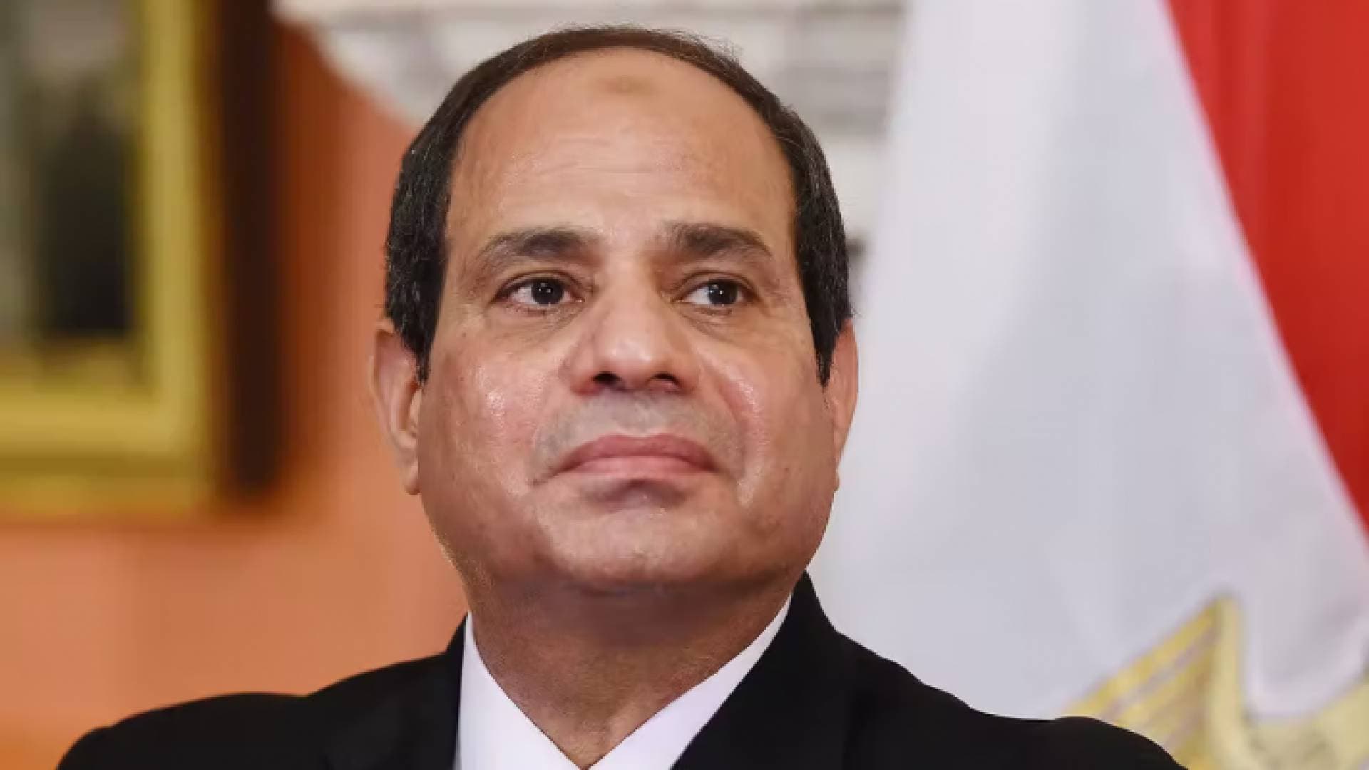 السيسي يوجه بالاستمرار بتنفيذ الإجراءات الأمنية ضد الإرهاب