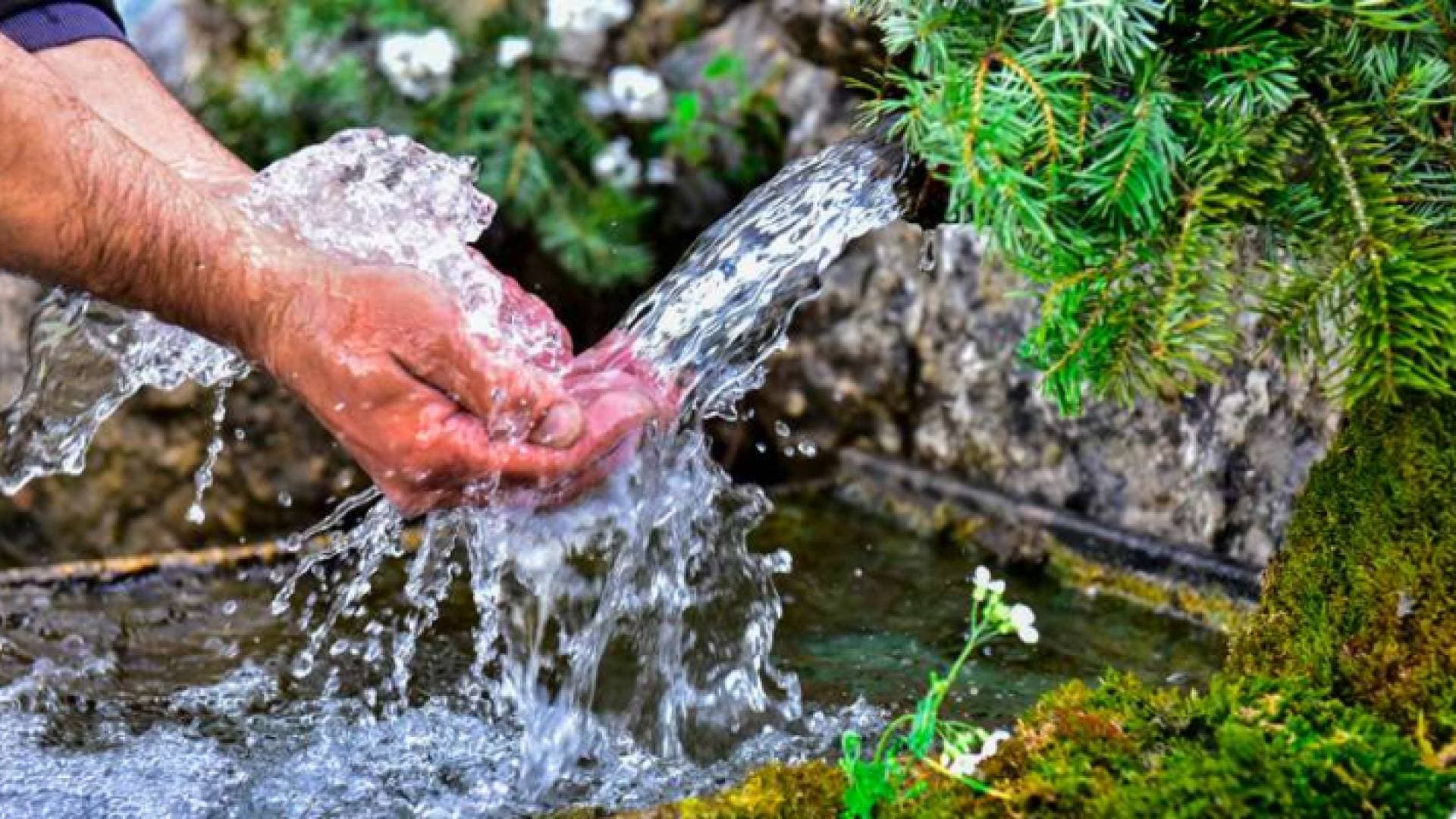 المياه لـ"رؤيا": وضع الأردن المائي حرج خاصة الصيف الحالي - فيديو