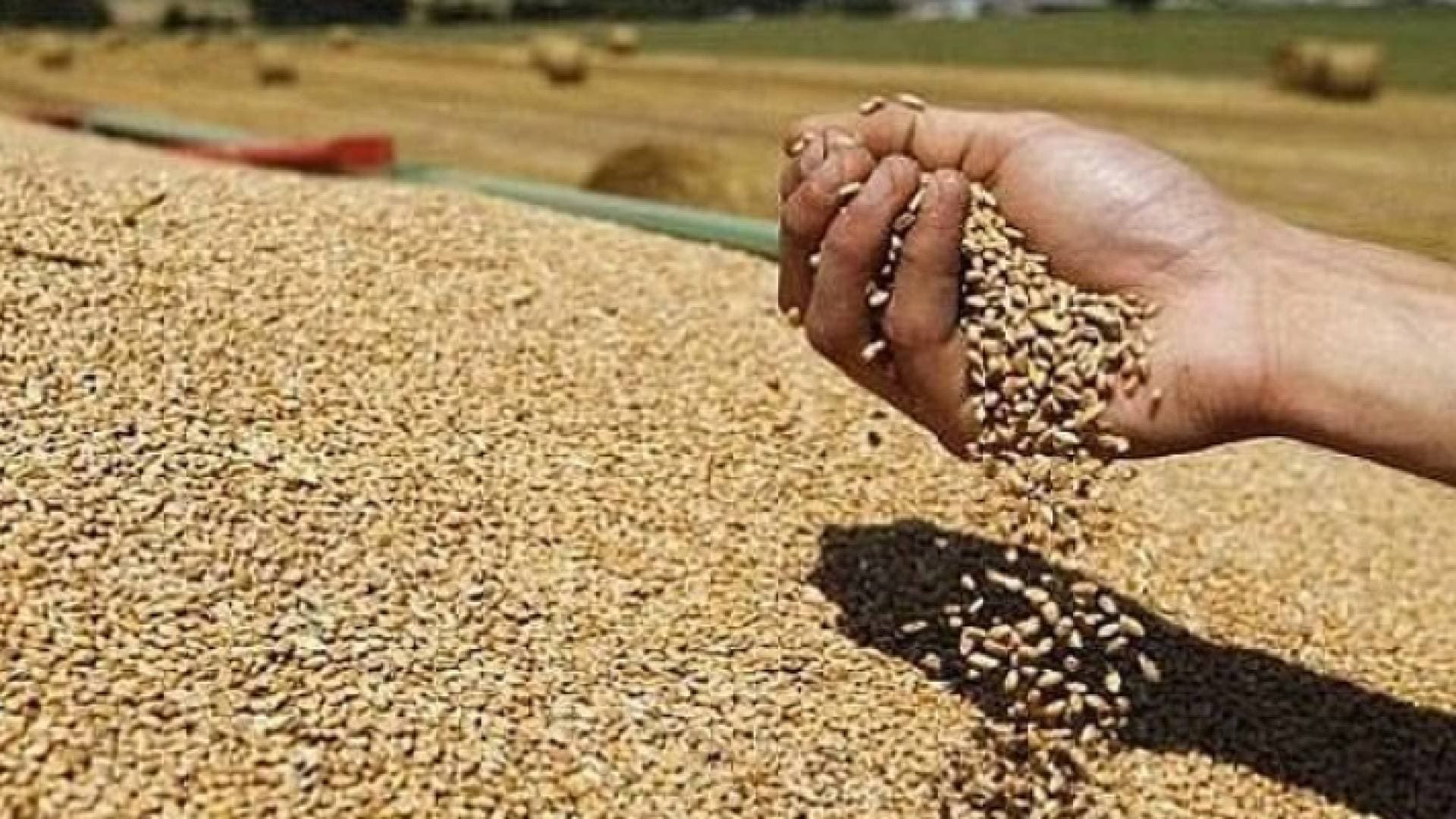 غوتيريس يدعو روسيا للسماح بتصدير الحبوب المخزنة في موانئ أوكرانيا
