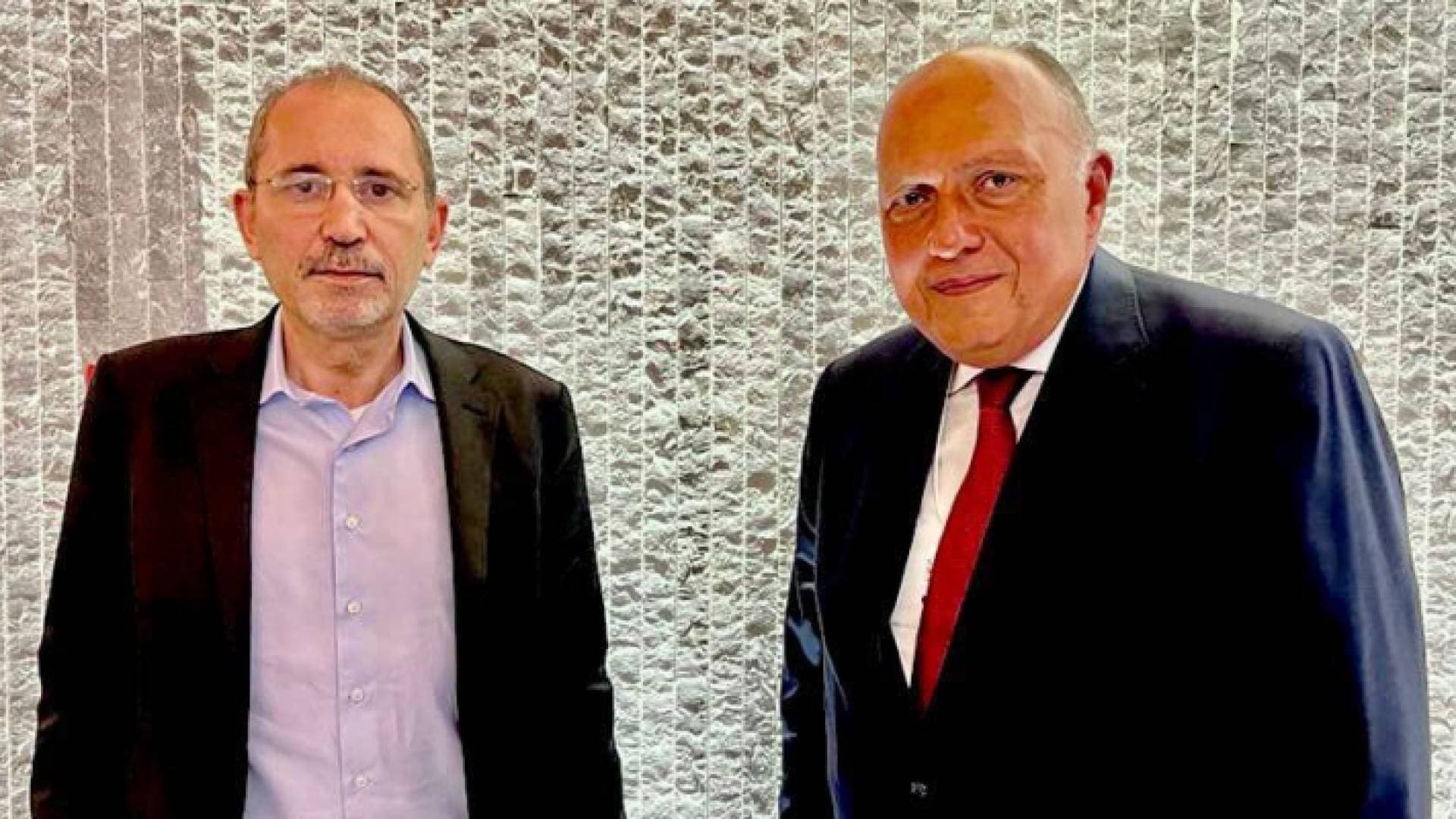 الصفدي يبحث مع نظيره المصري الخطوات لترجمة العلاقات الثنائية