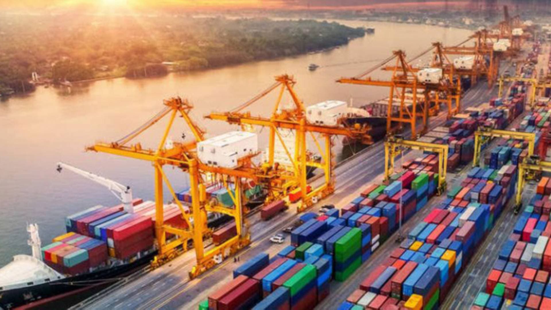 التجارة العالمية تدعو دول العالم إلى عدم منع أو تقييد صادرات المواد الغذائية الأساسية
