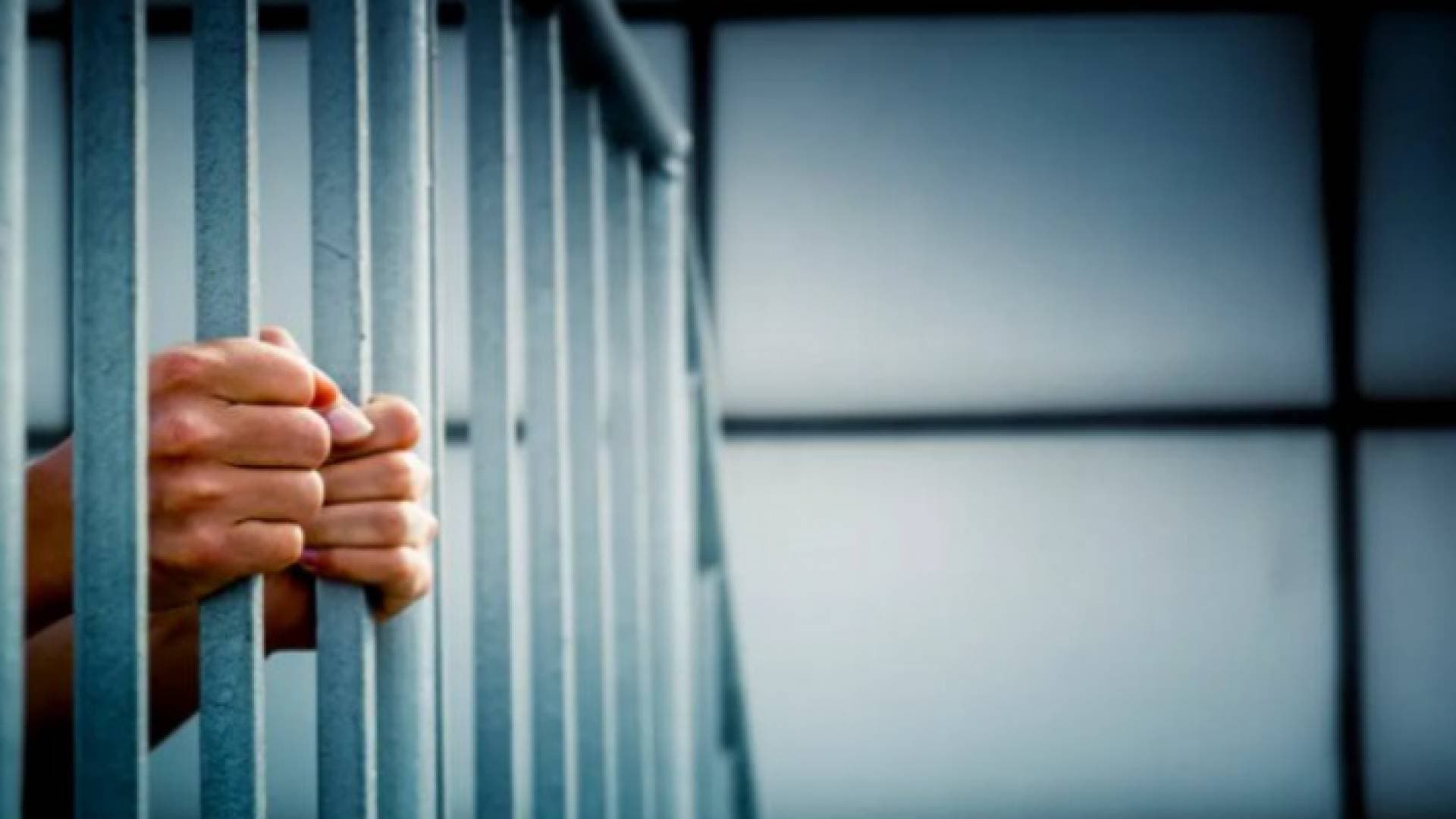 الحكم على ٥ موظفين في قضية استرداد ضريبة مبيعات بفواتير دون بضاعة