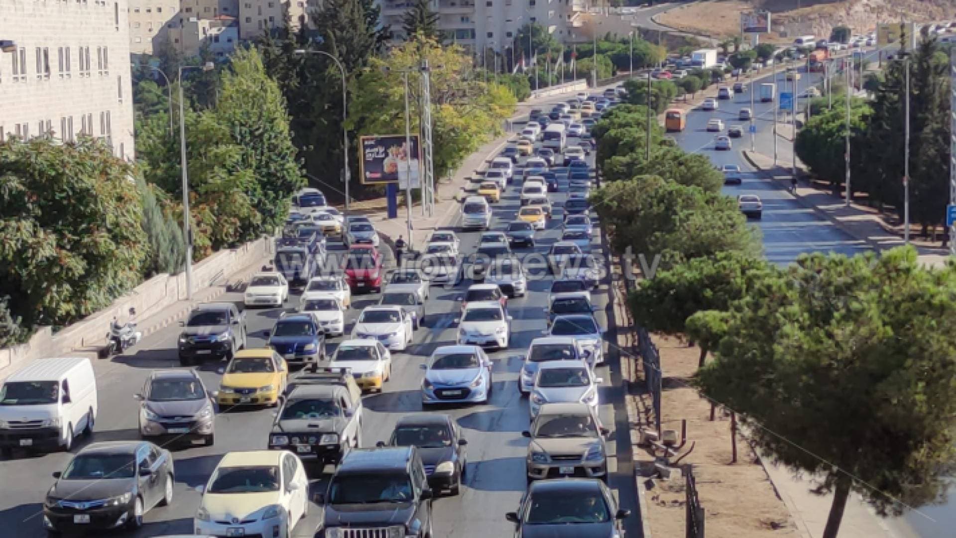 الحكومة: نعمل على وضع خطة لتطوير السلامة المرورية في الأردن