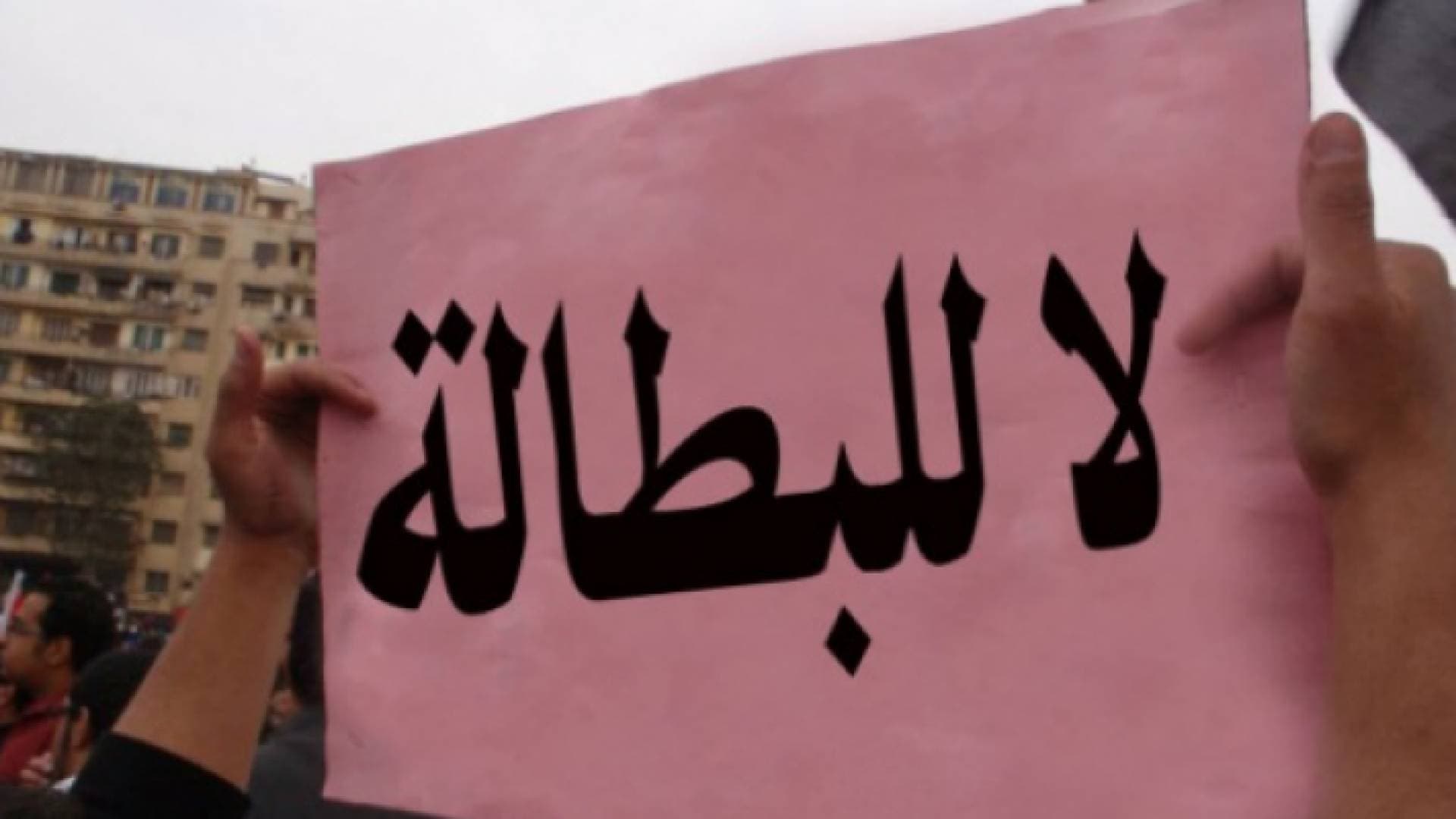 الخوالدة: البطالة أهم تحد للشاب الأردني