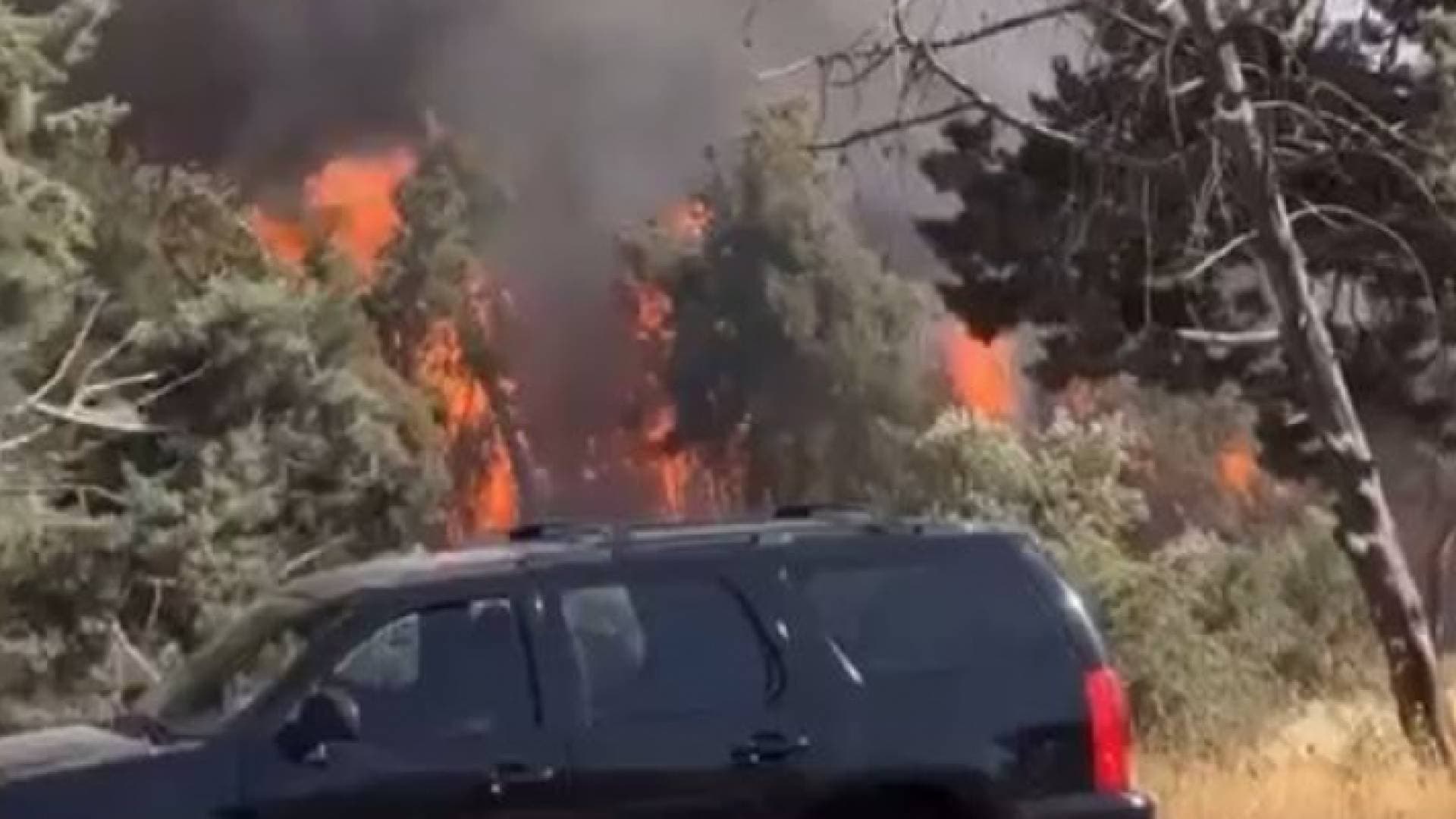 حريق في منطقة الحمر بعمان - فيديو