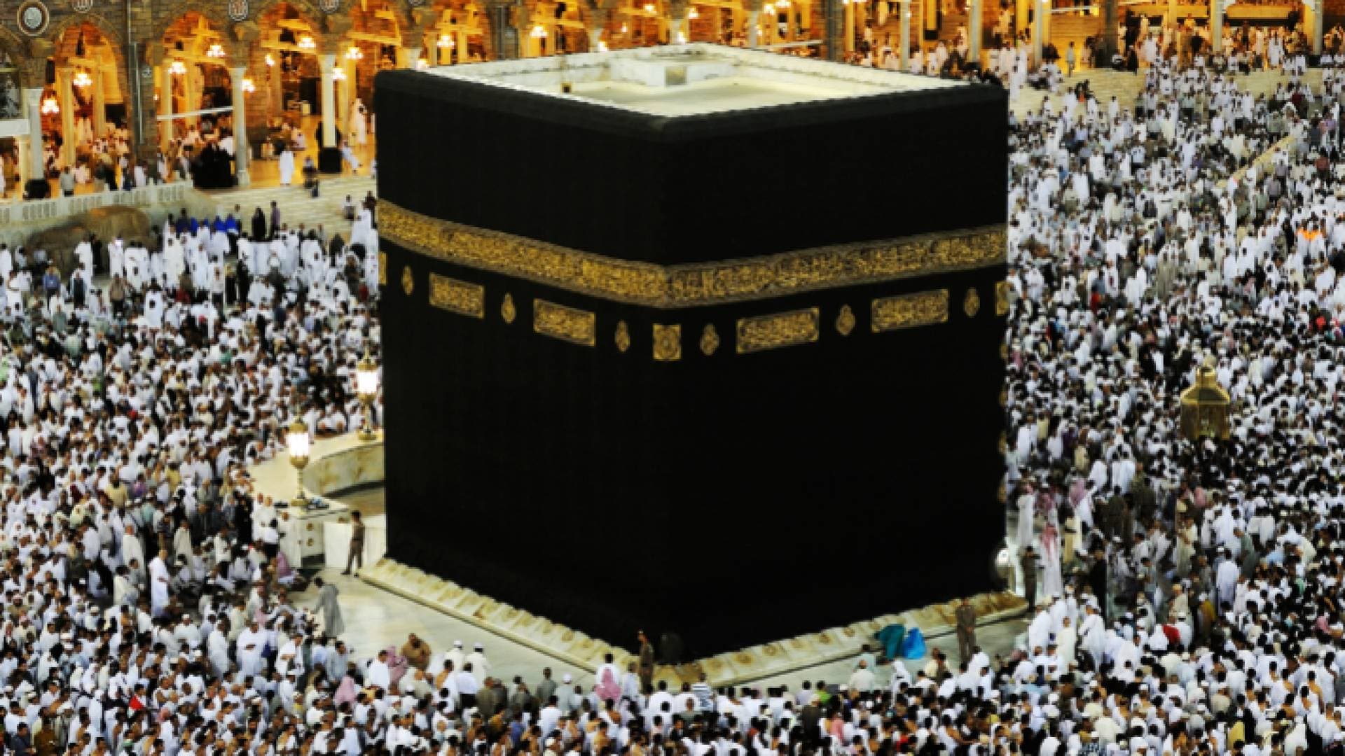 قادما من تركيا.. وصول أول فوج من حجاج بيت الله الحرام