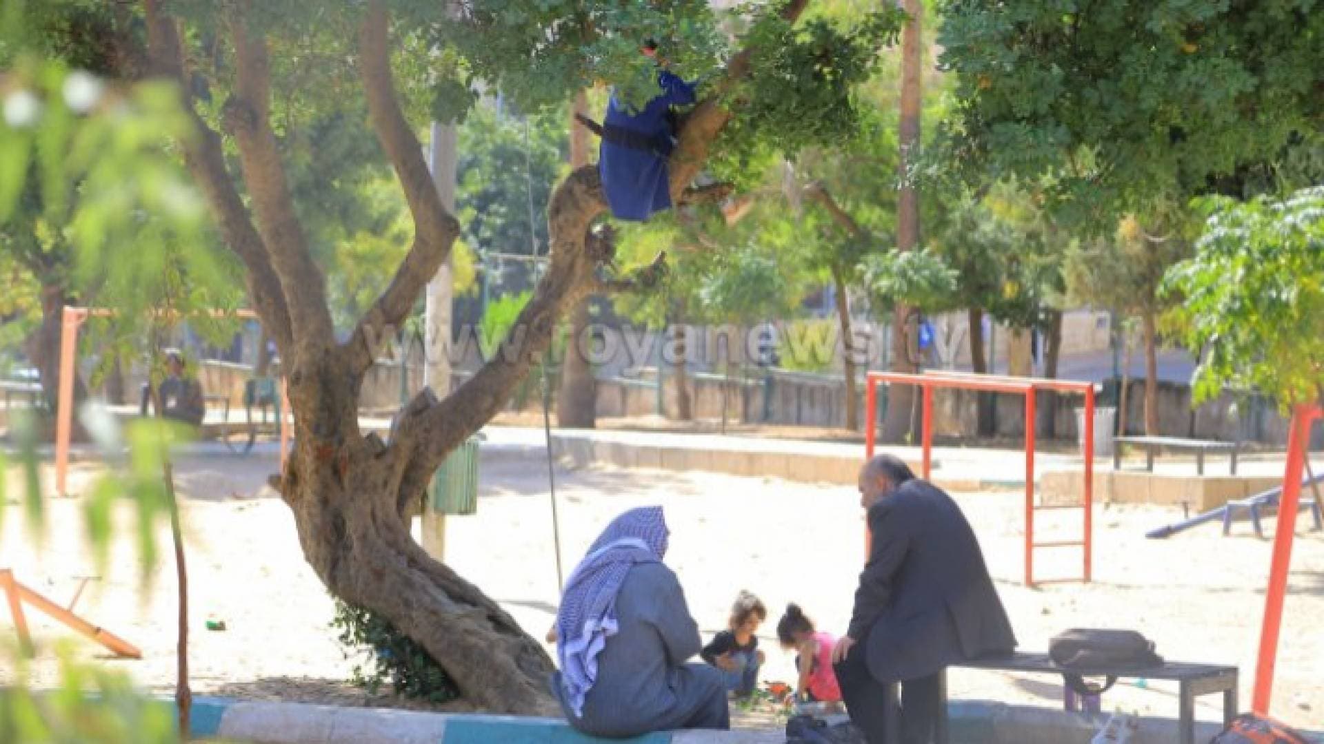 طقس معتدل في المرتفعات وأغلب المناطق الأحد والاثنين